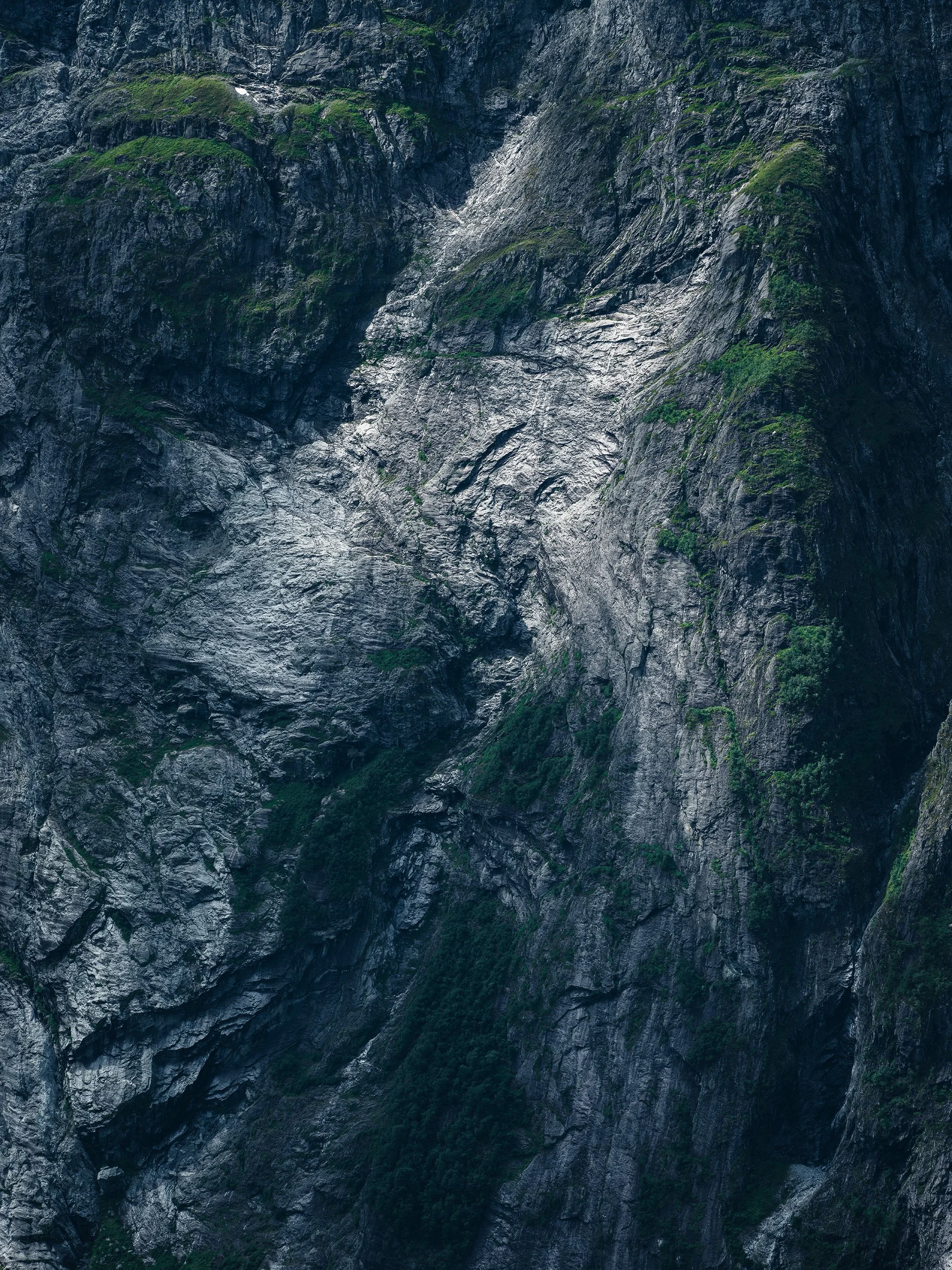 Troll Wall Series II | 2026