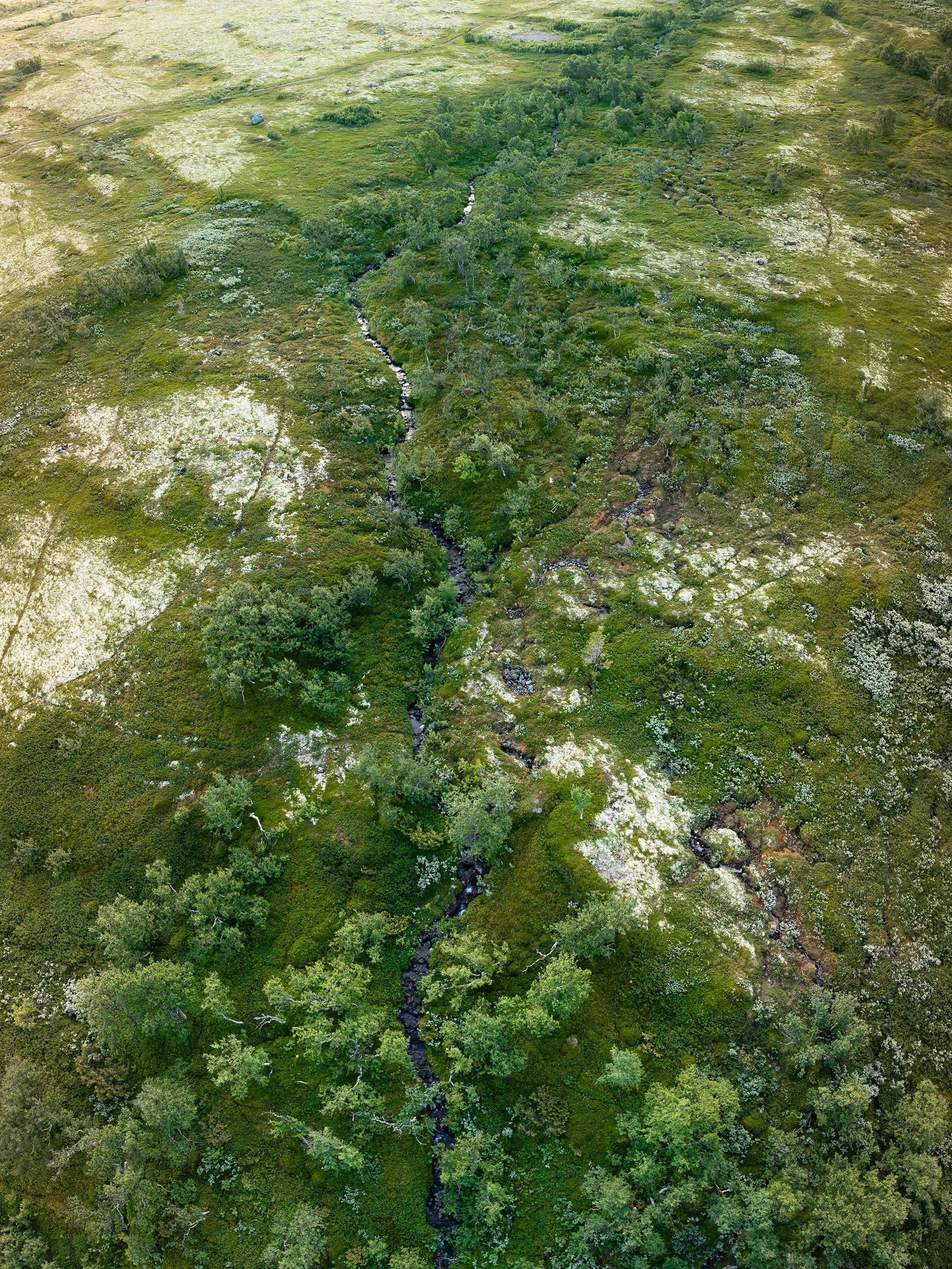 Hummelfjell II | 2026