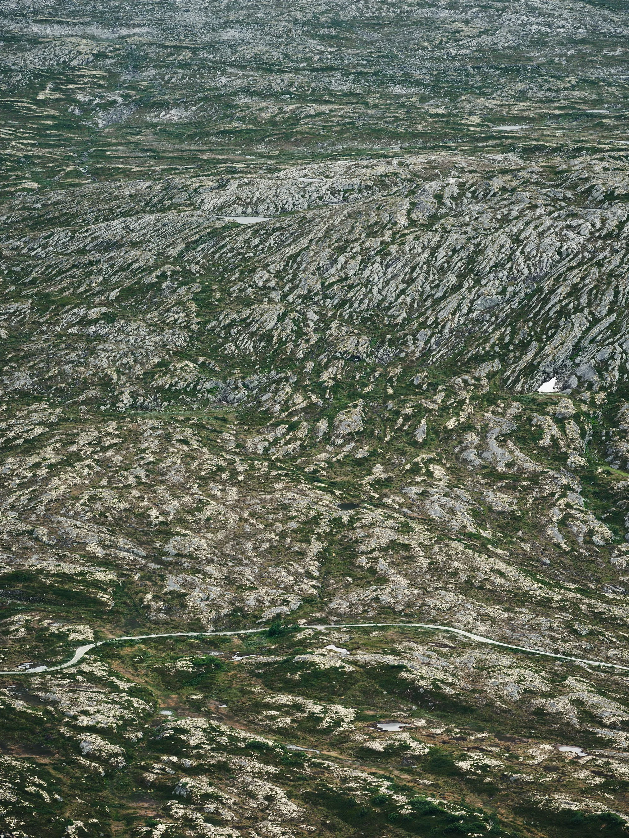 Dovrefjell Series I | 2026