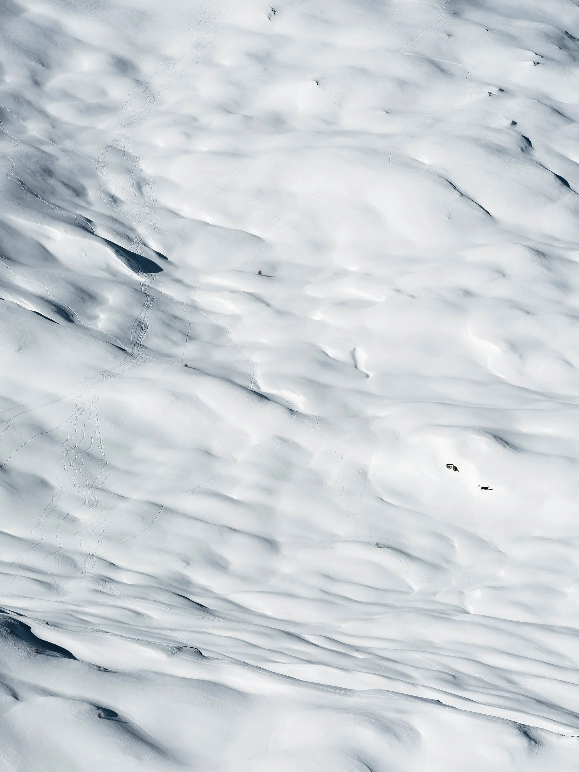 Waves | 2026