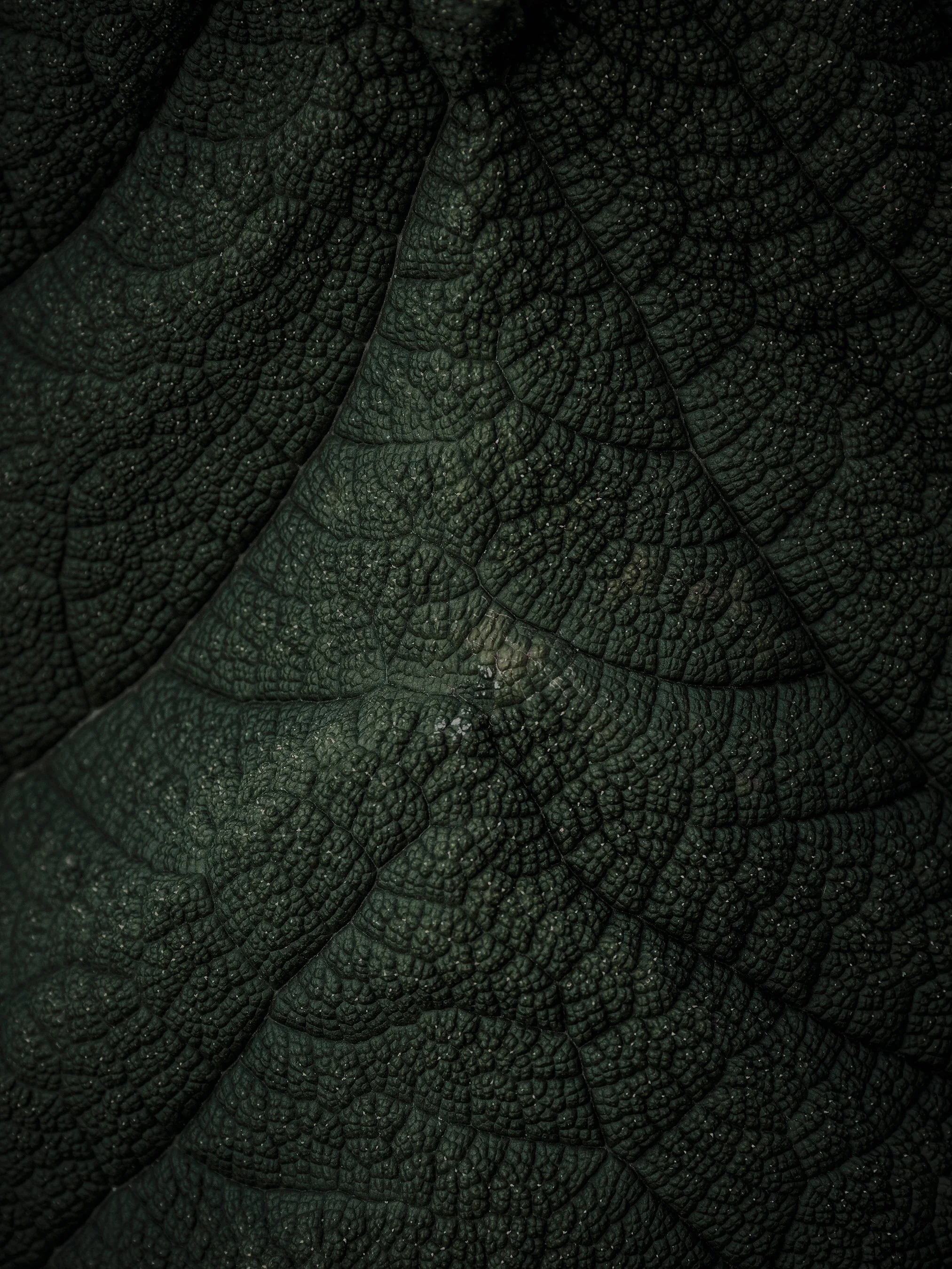 _1015561-1_Web.jpg