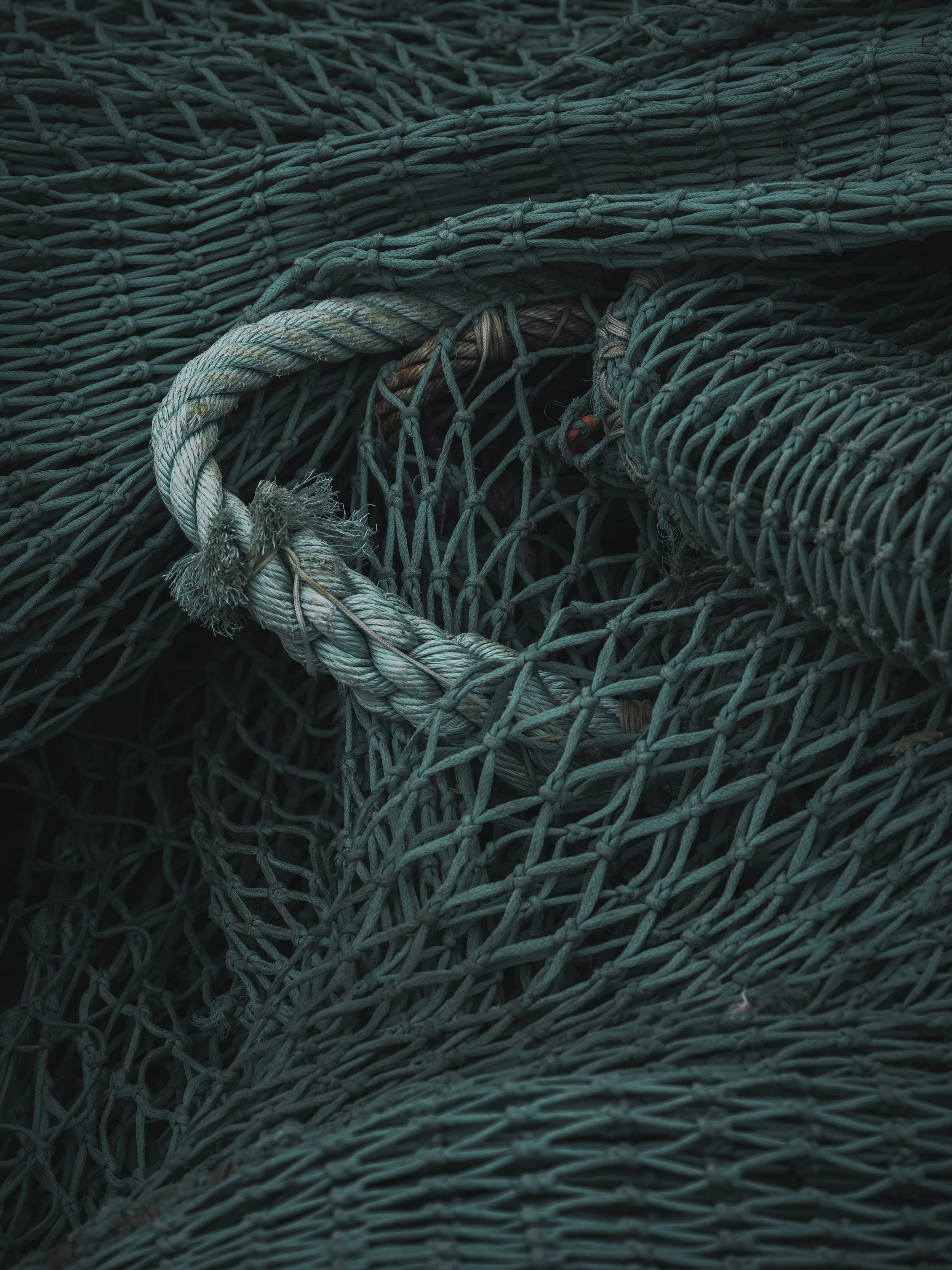 Net | 2024