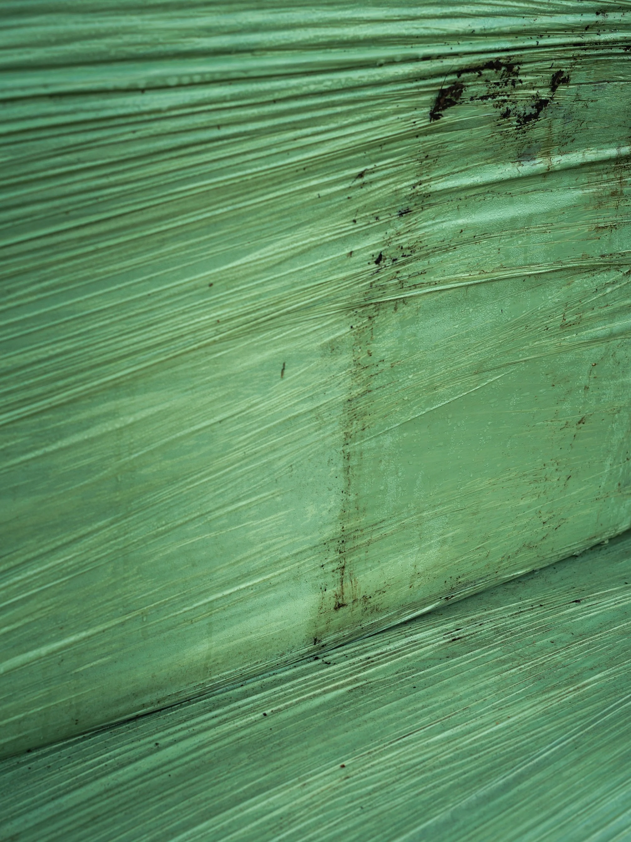 L1009447_Web.jpg