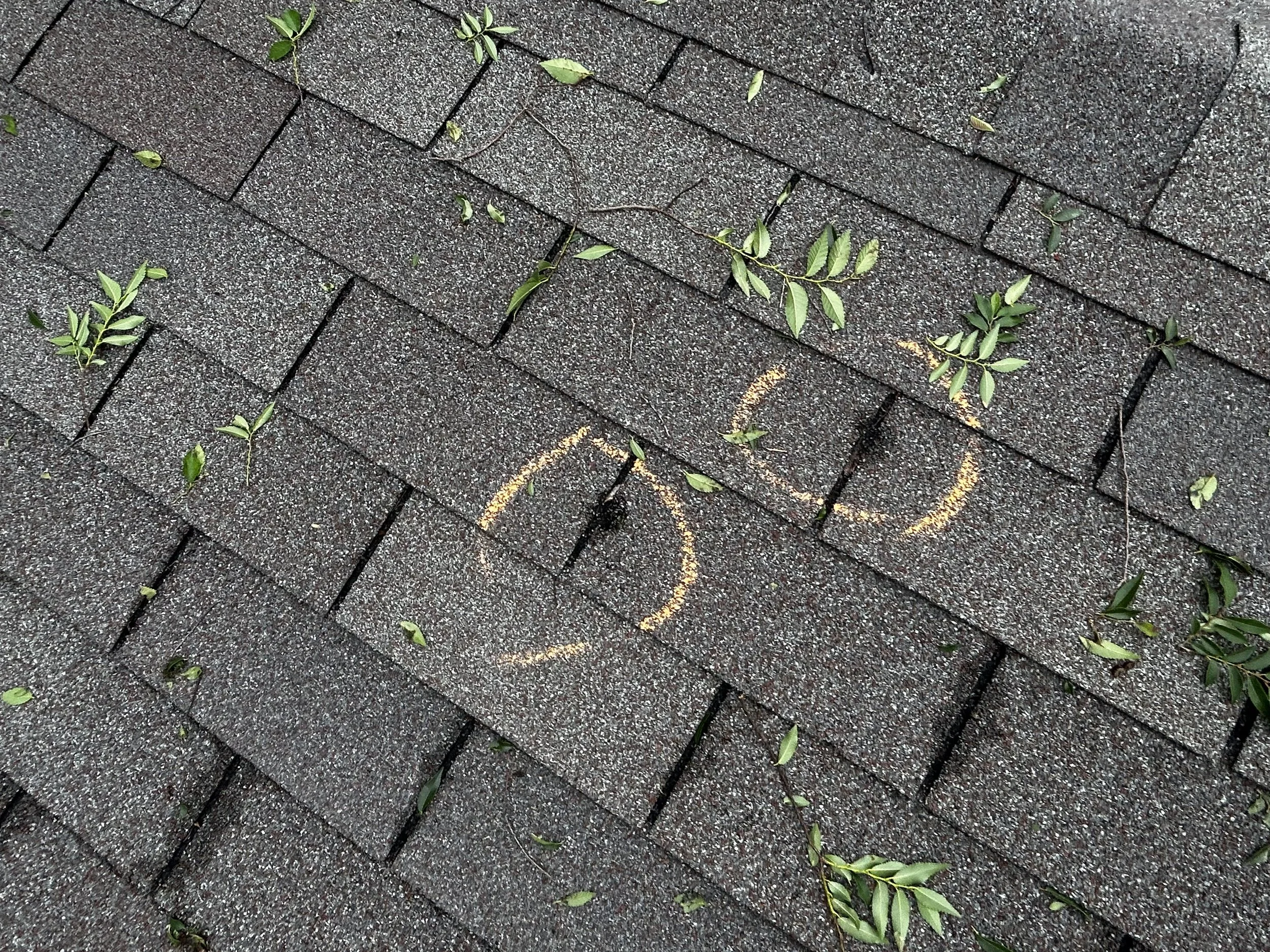 Close-up of a gray asphalt pavement with small green leaves and twigs scattered across the surface. Partially visible yellow chalk markings are on the pavement.