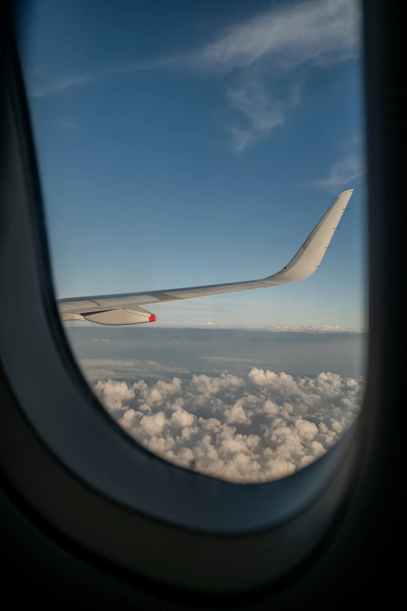 DSCF4090.jpg