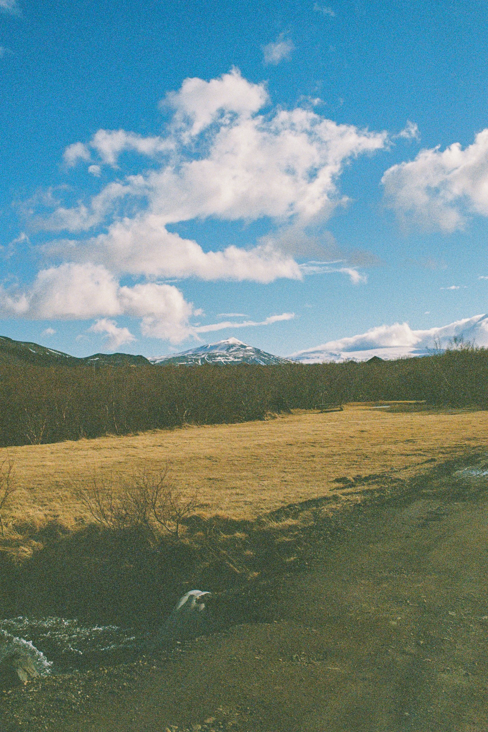 000055-3.jpg