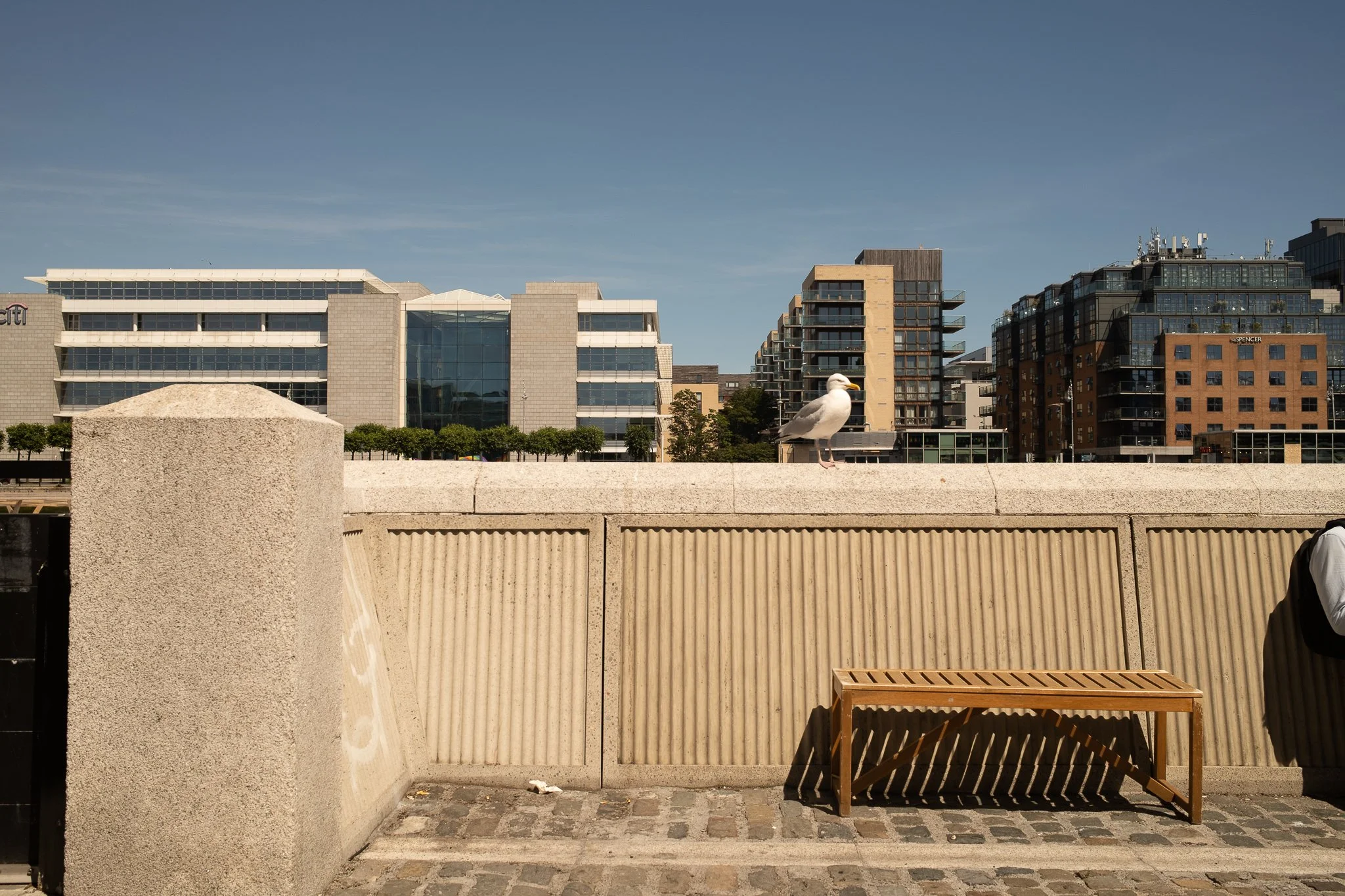 DSCF3820.jpg