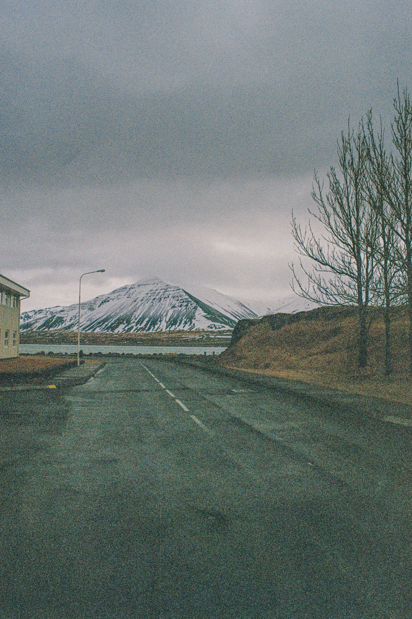 000005-3.jpg