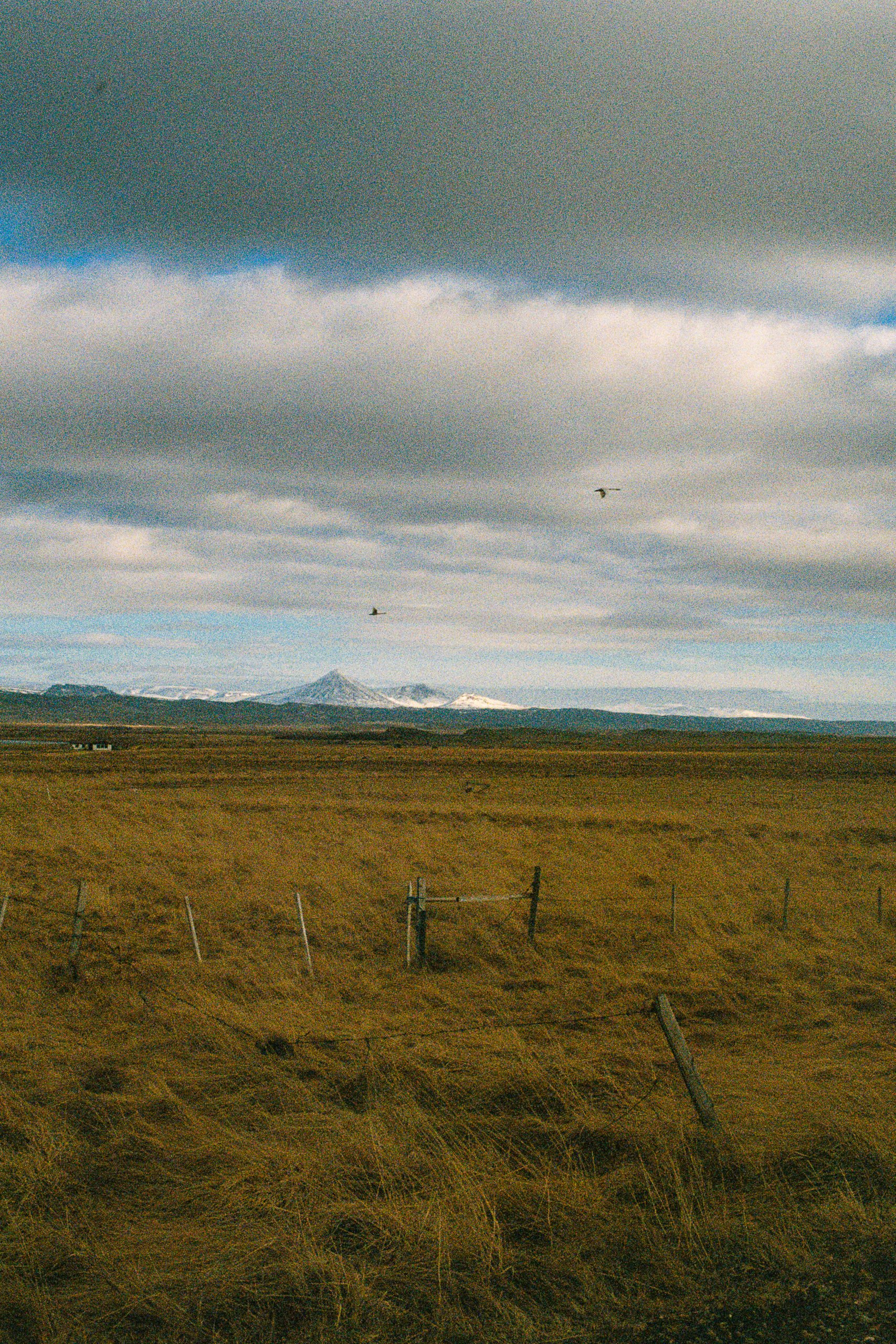 000058-3.jpg