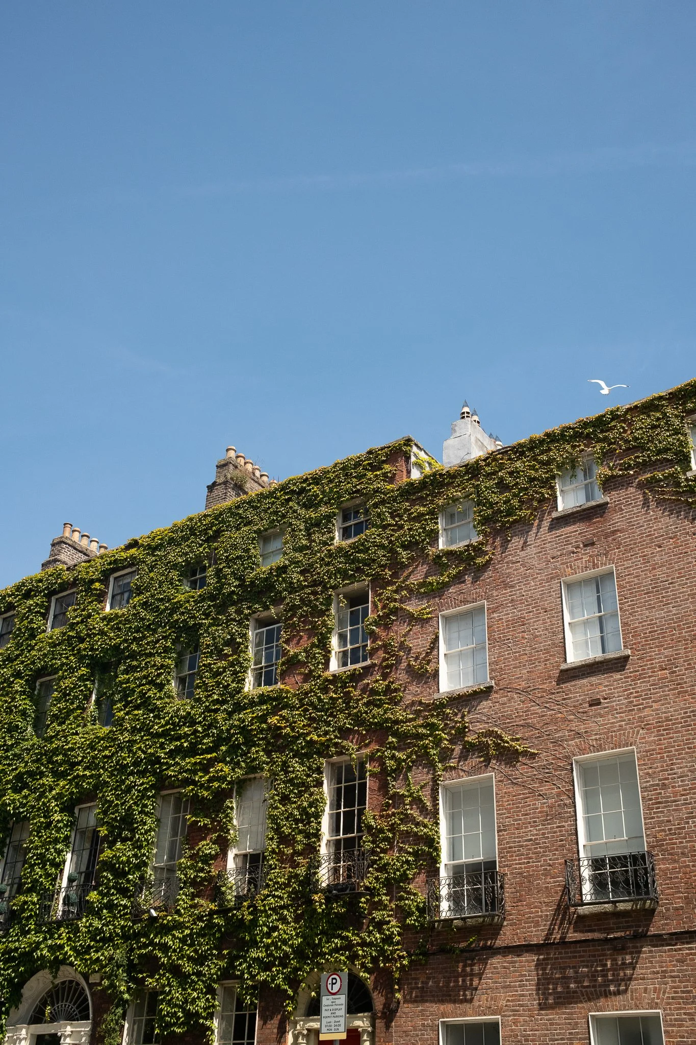 DSCF3836.jpg