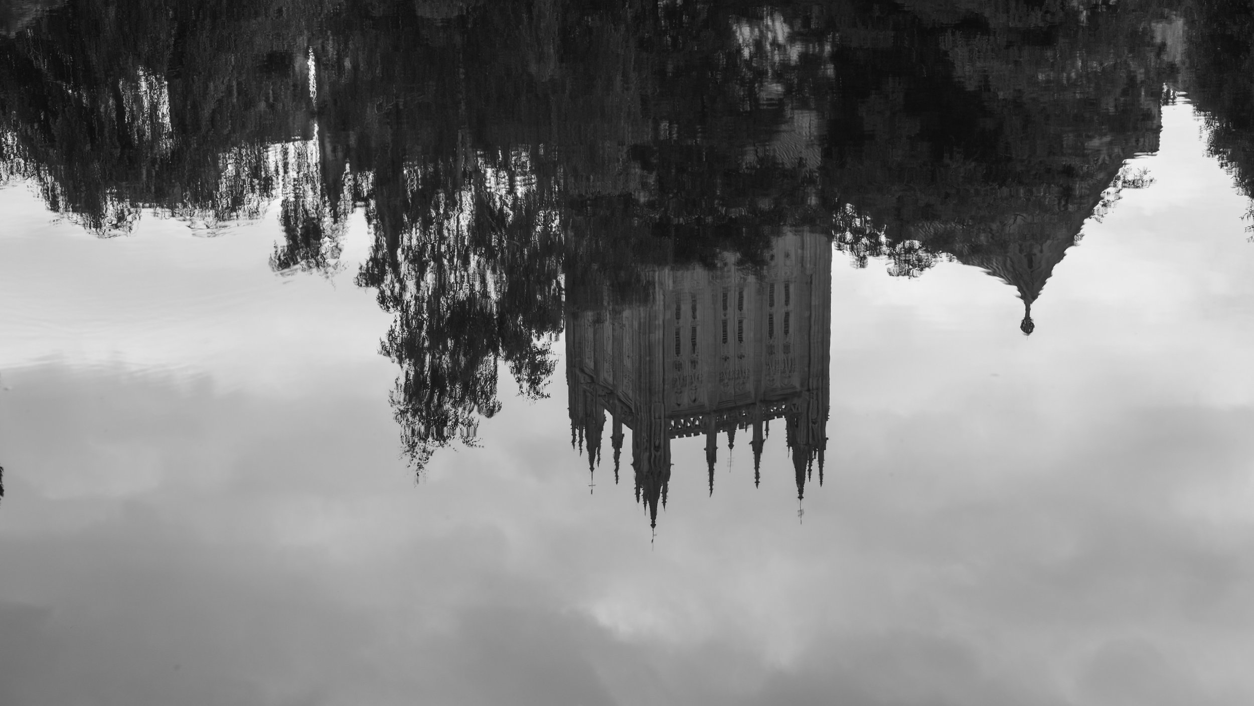 _DSF1078.jpg