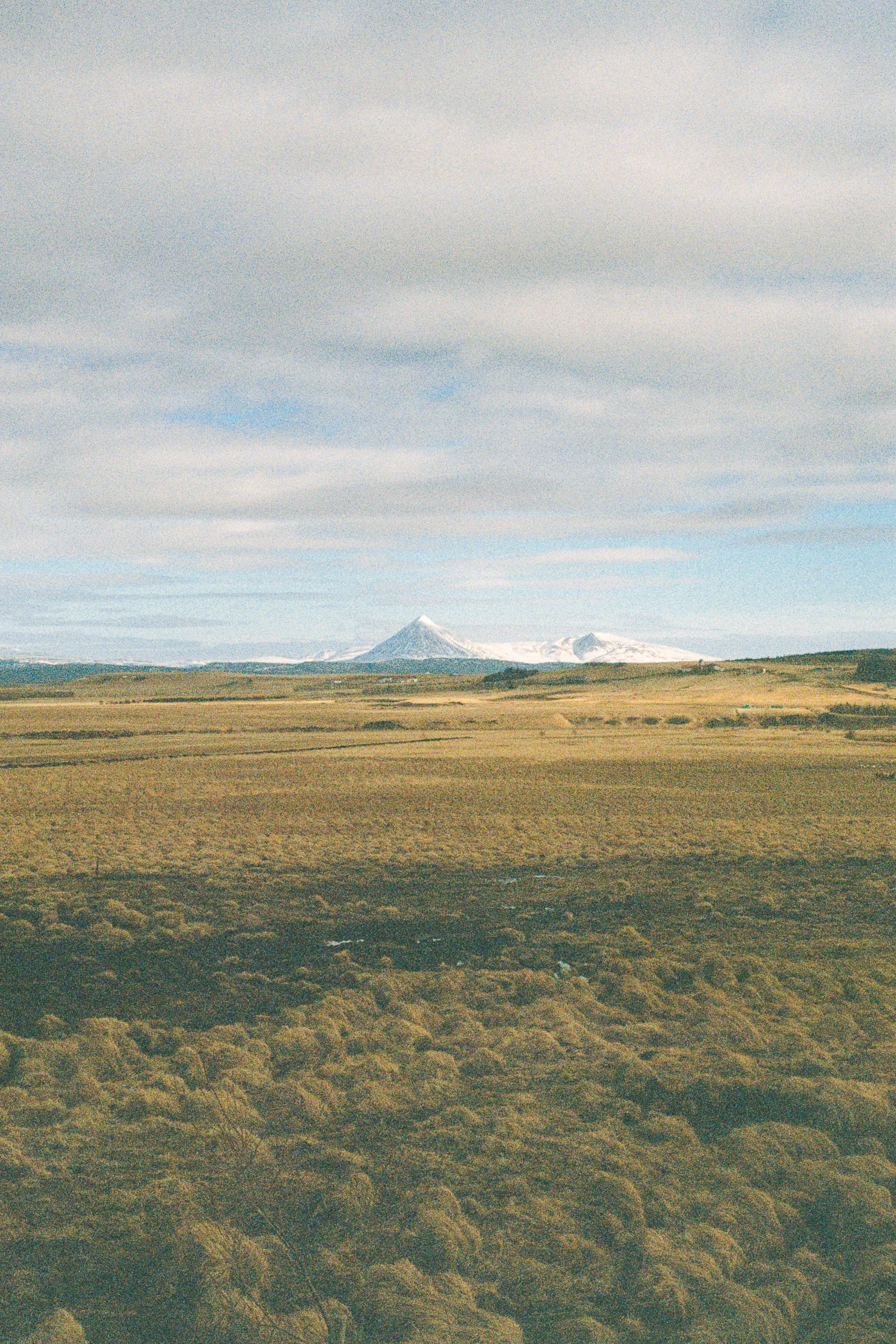 000056-3.jpg