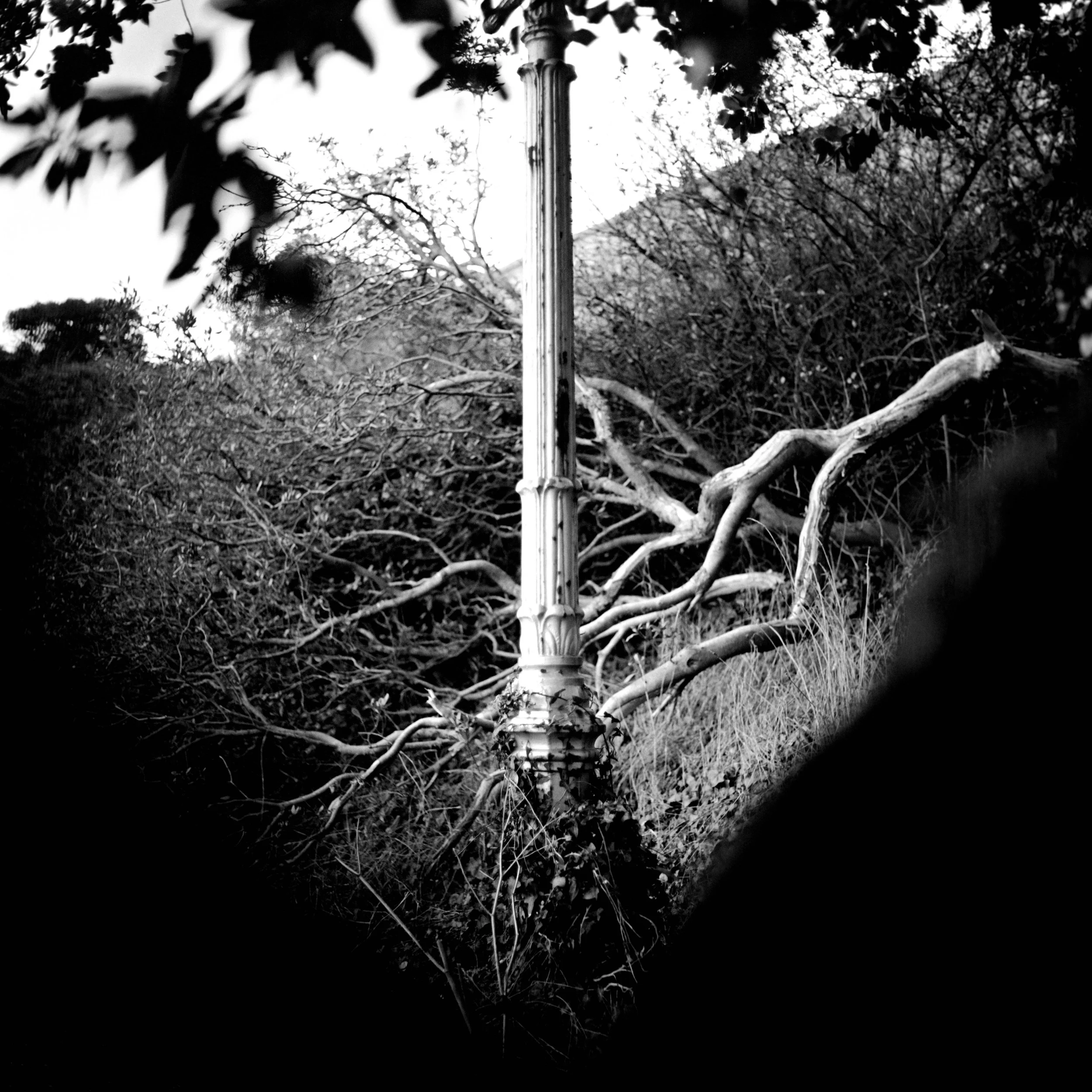 Black and white photo of a worn-out, broken street lamp surrounded by leafless trees and fallen branches.