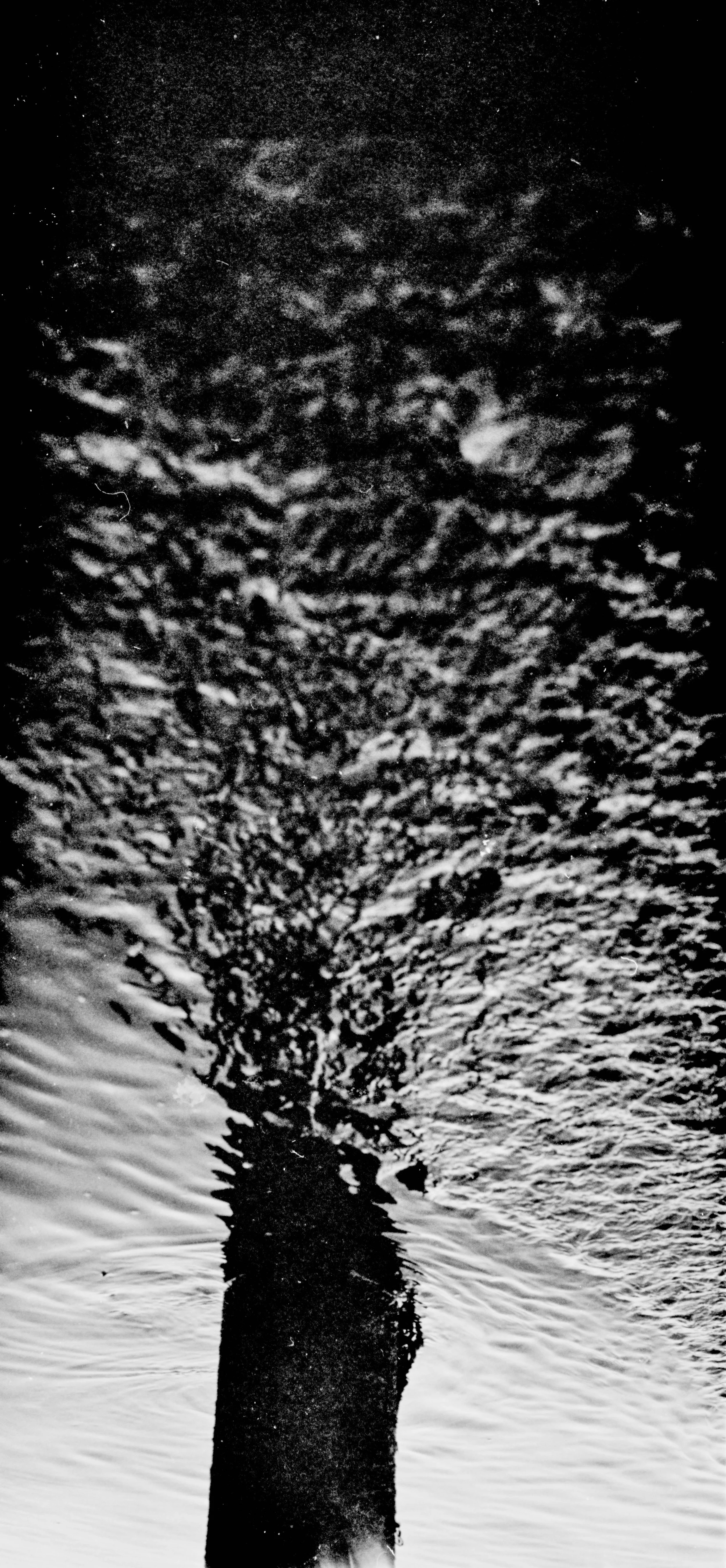Black and white photo of a whale breaching the water's surface with water splashing around.