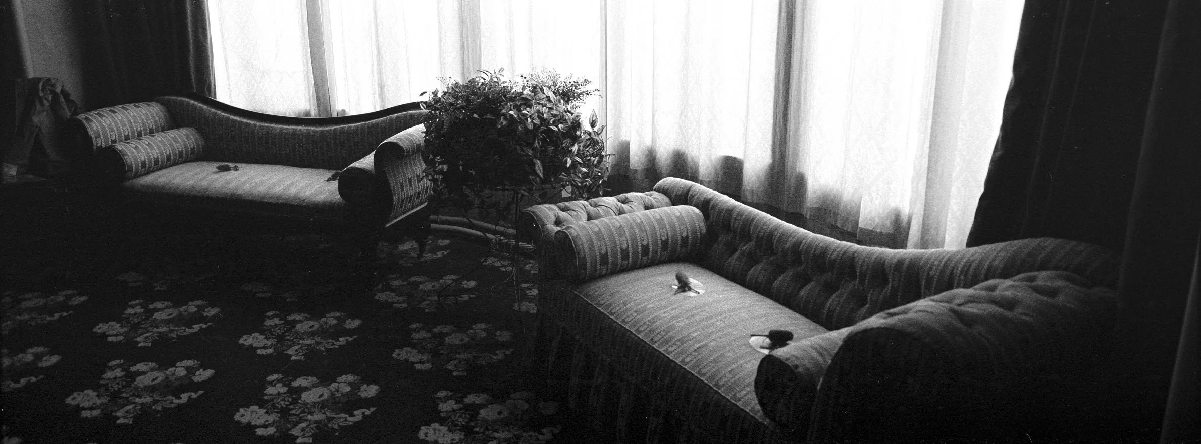A black-and-white photo of a vintage living room with patterned sofas, a potted plant, and curtains over a window.