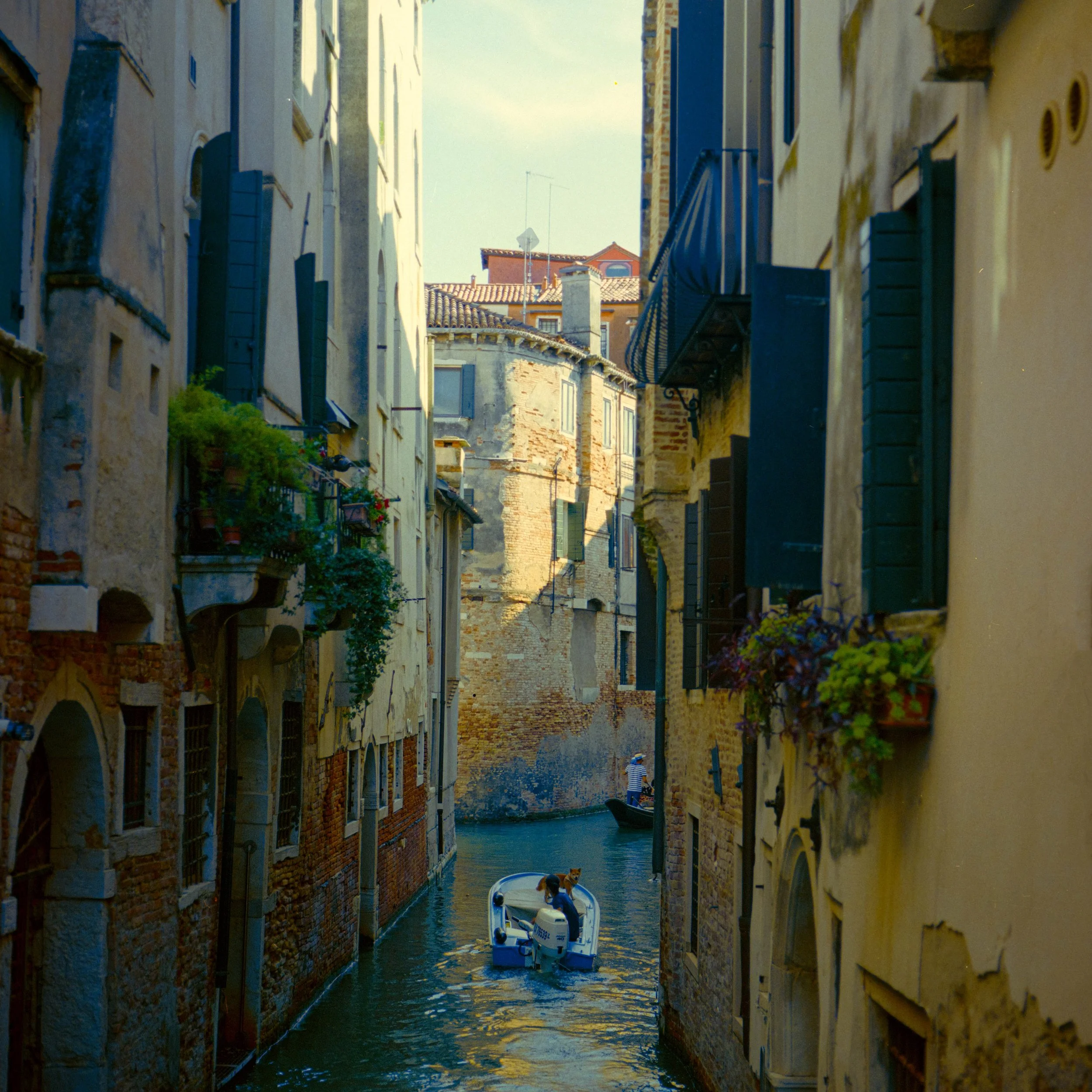 A narrow canal in Venice, Italy, with tall historic buildings on either side, and a boat with two dogs and a person on it floating in the water.