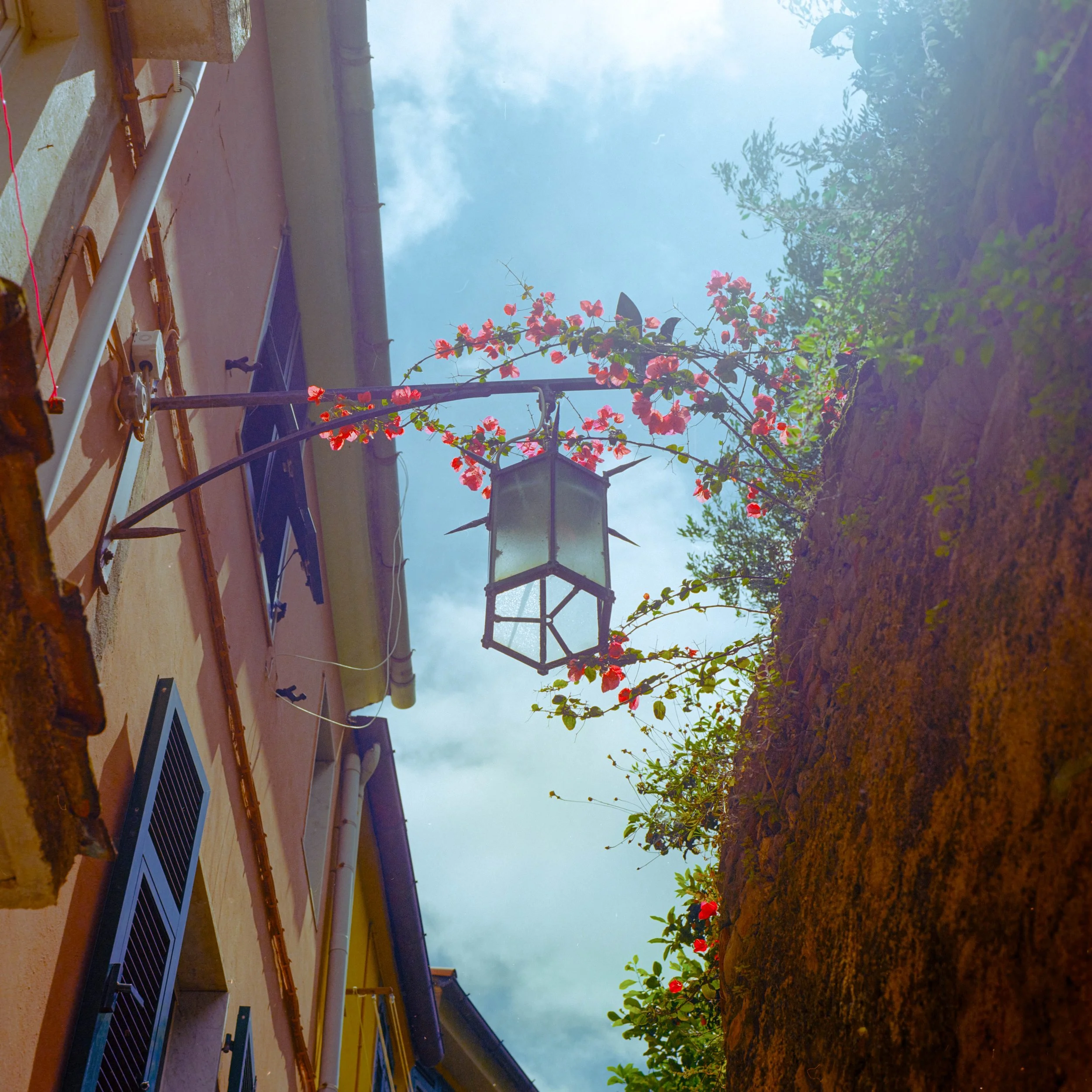 Photo showing the side of a house with a window and roof, with blooming red flowers and green foliage on a tree, under a blue sky with some clouds.