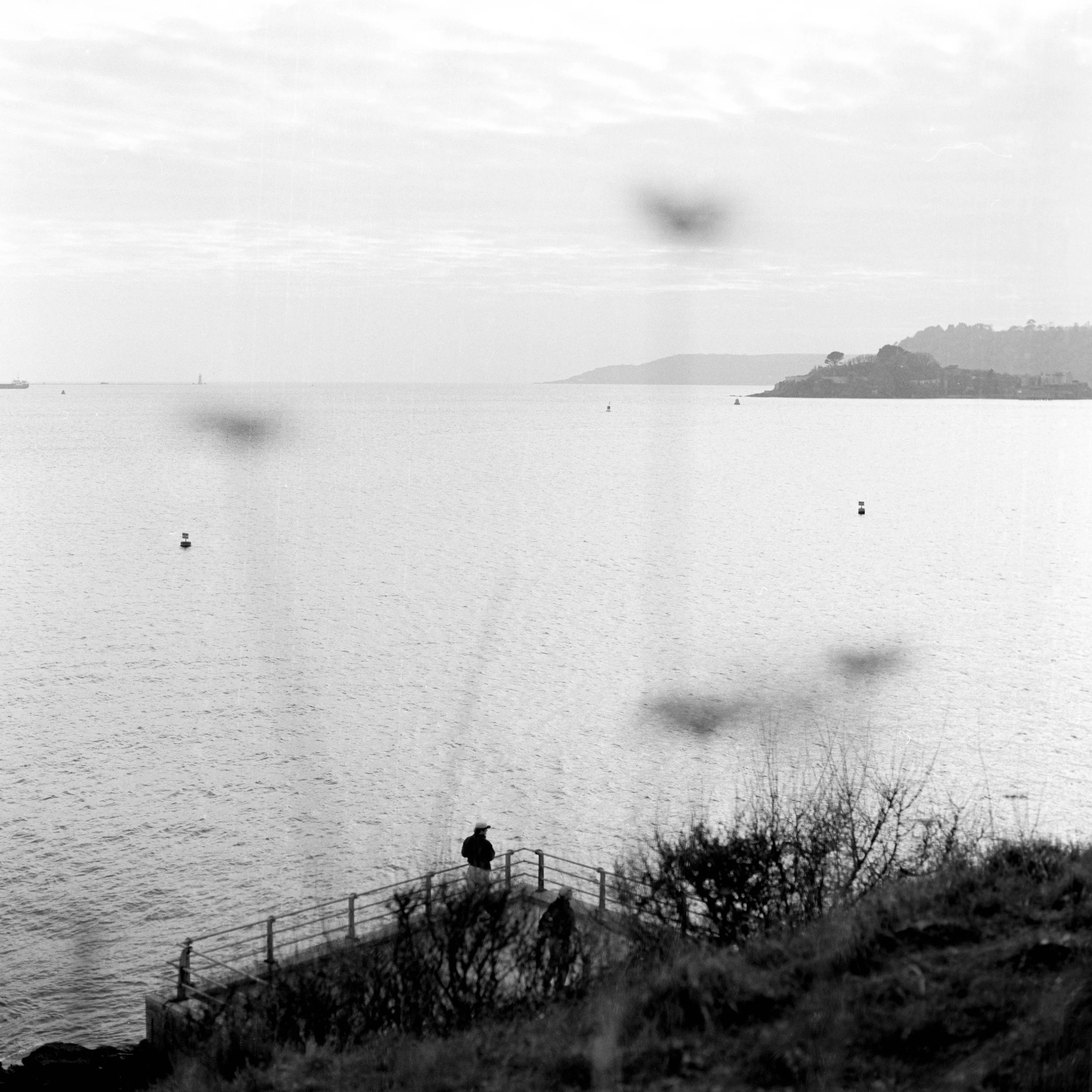 A person standing at a viewpoint above a large body of water, with a rail and trees in the foreground, and a distant shoreline with a hilly area in the background.