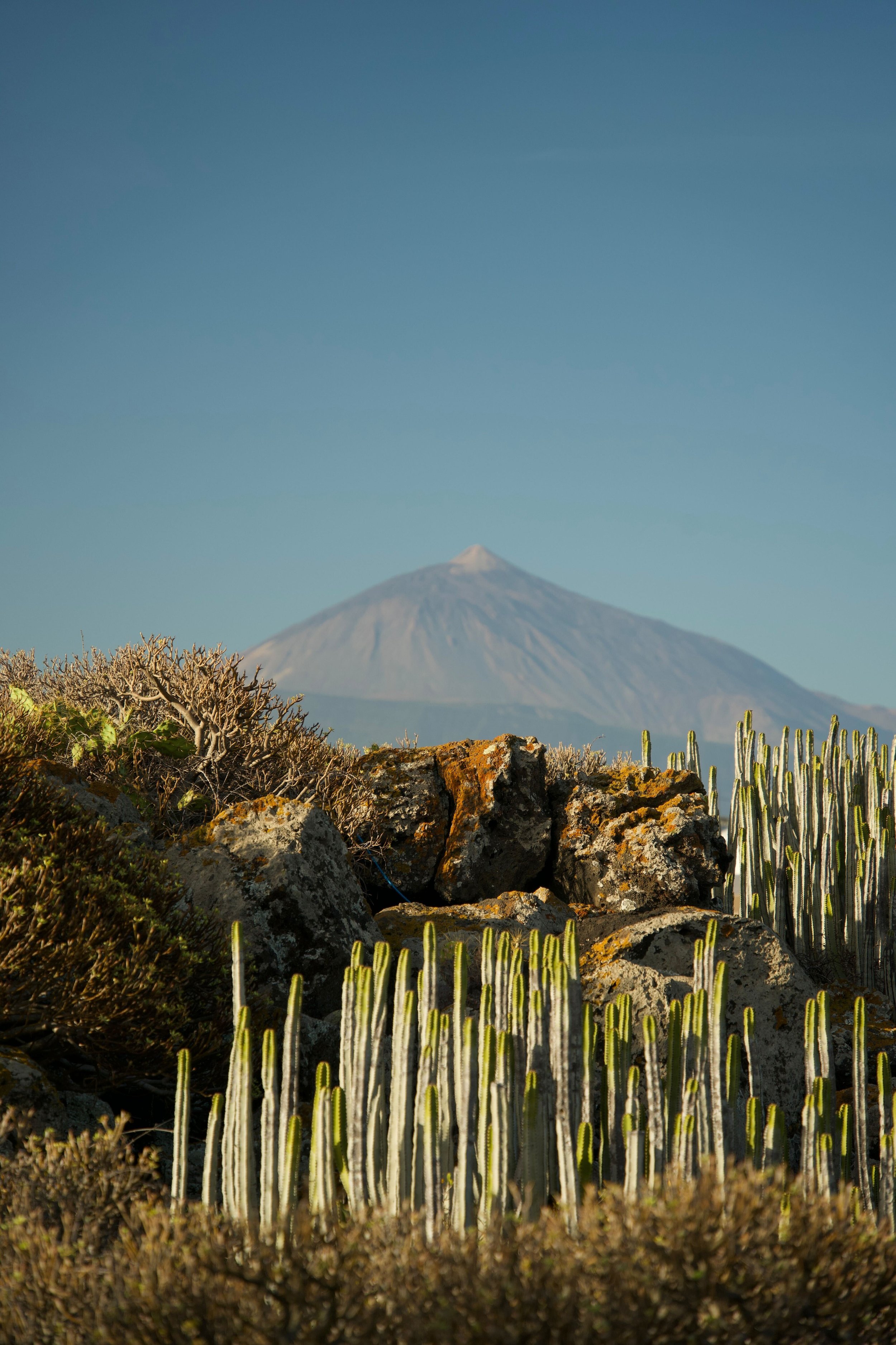 Tenerife en 6 días: la isla que no te esperas