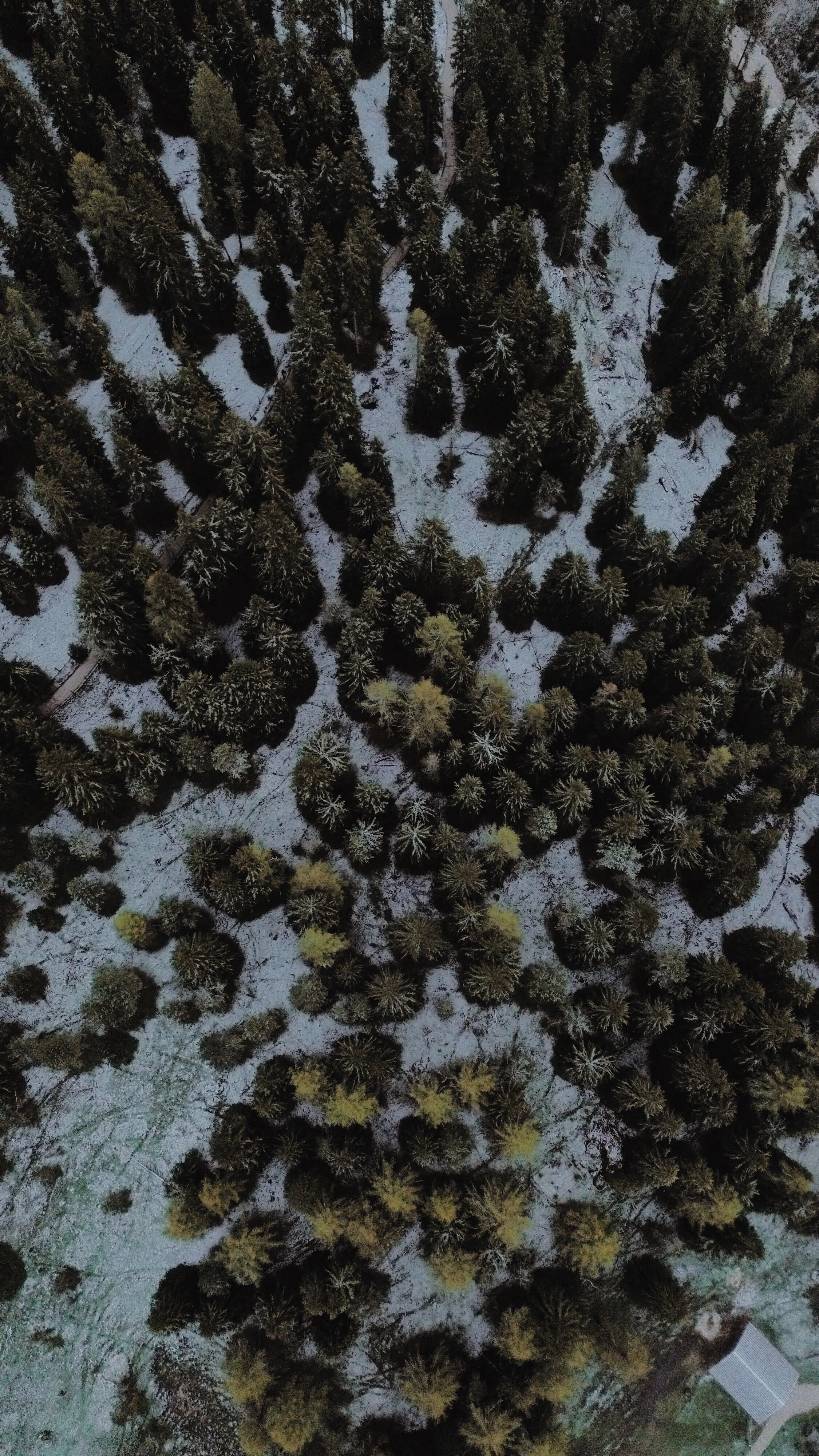 Dolomitas en invierno