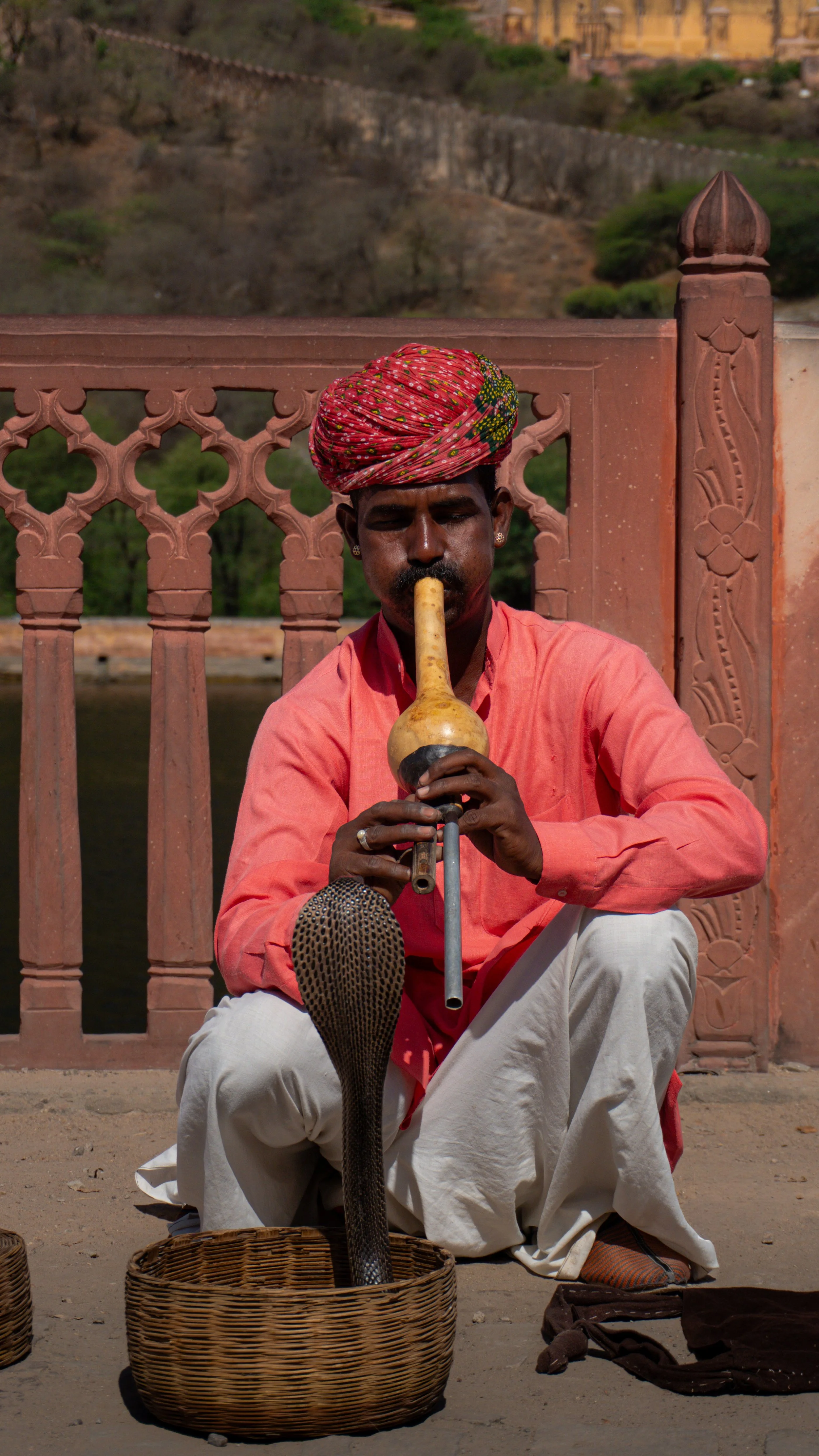 Encantador de serpientes, Jaipur