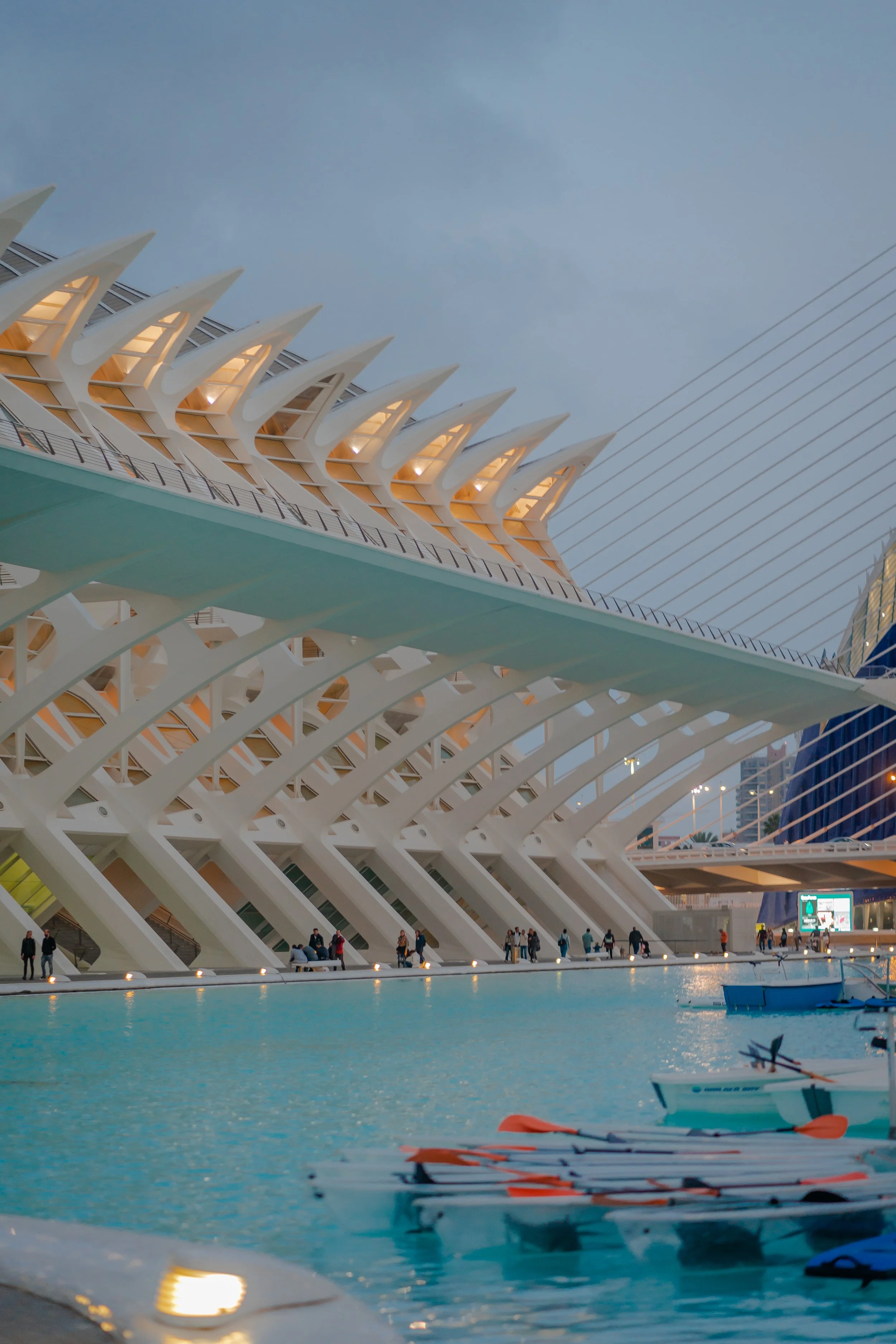 CAC en la noche