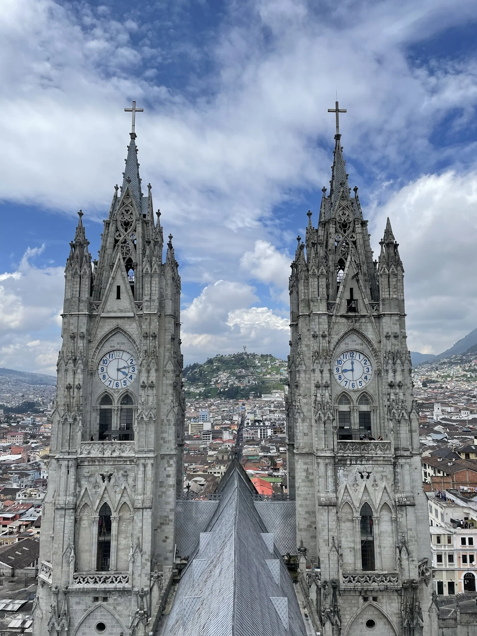 Basilica del Voto Nacional, Ecuador