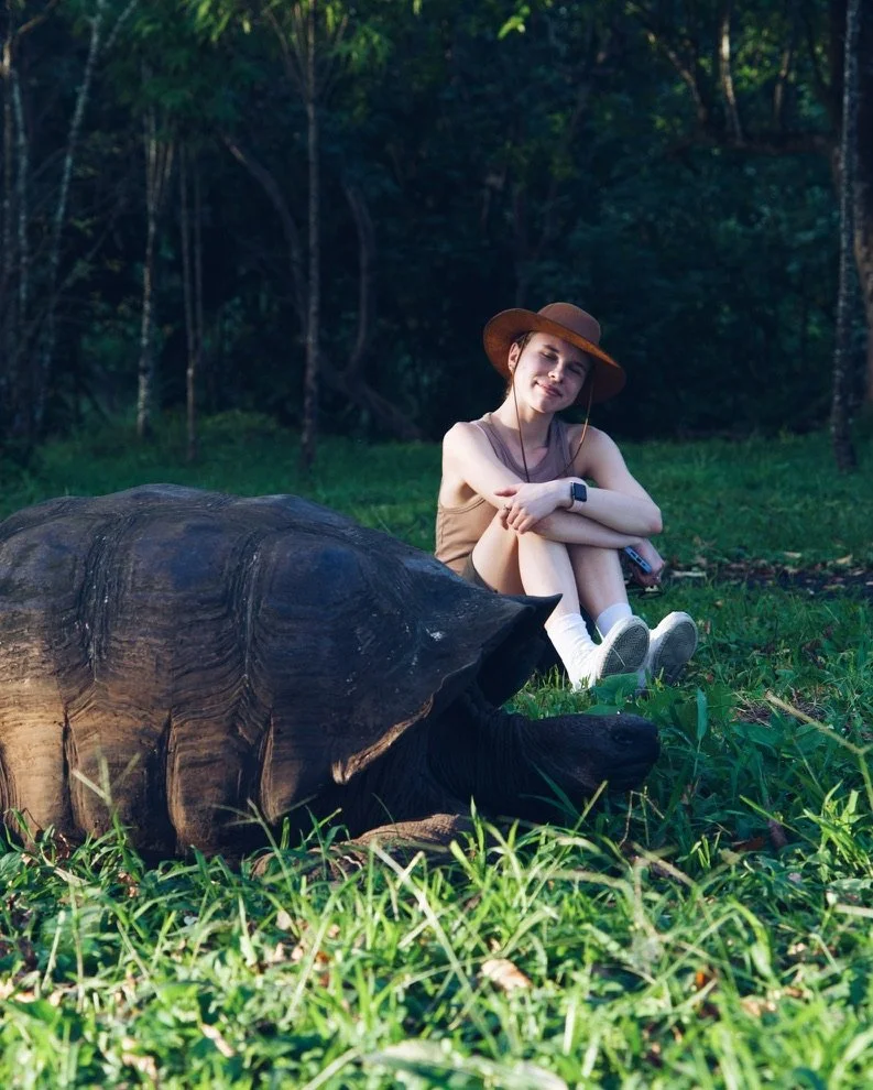 Foto de Tortuga Gigante de Galápagos