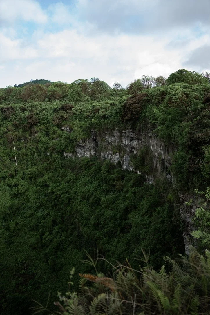 Crater en isla Santa Cruz Galápagos