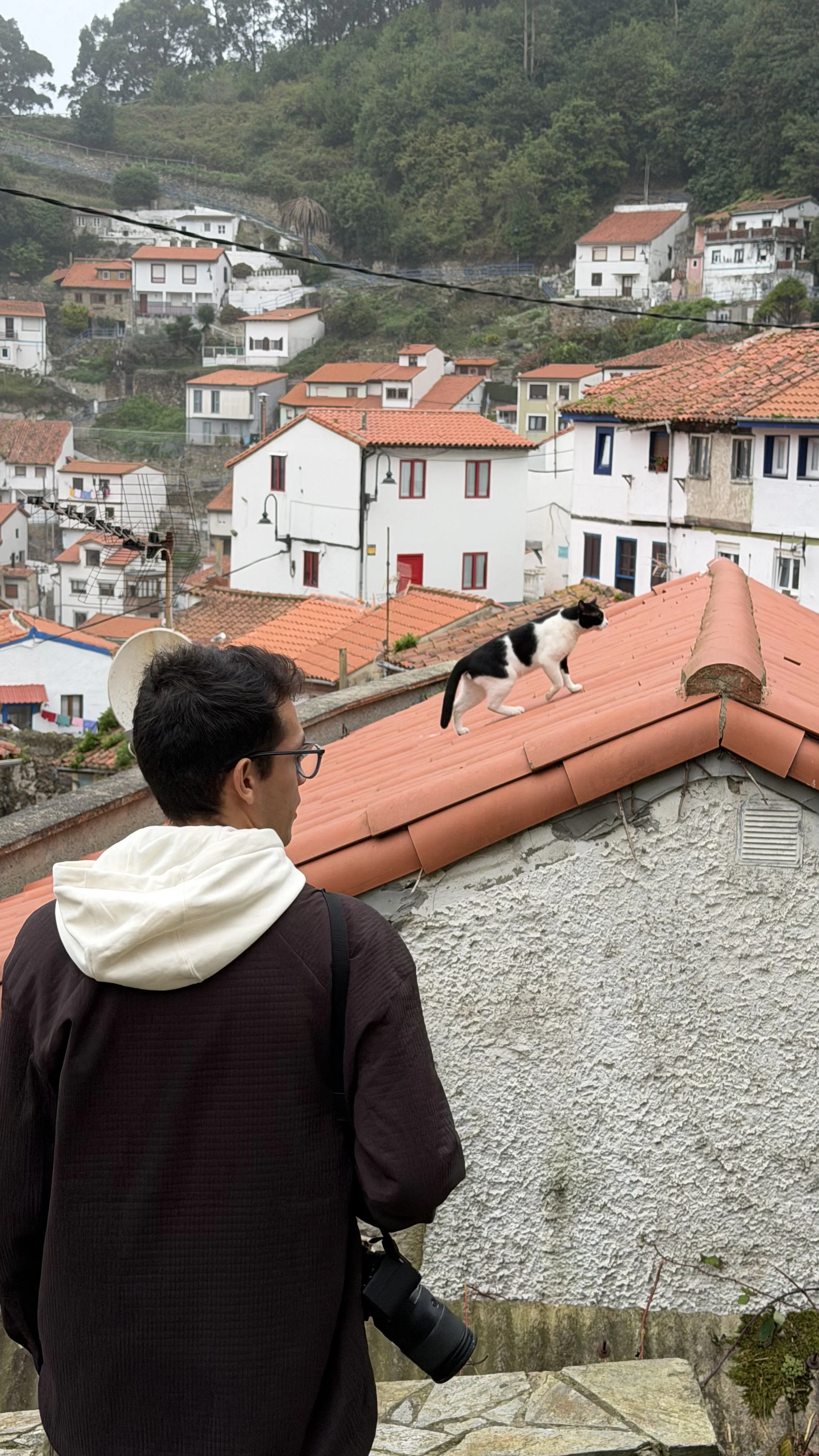 Vista de Cudillero