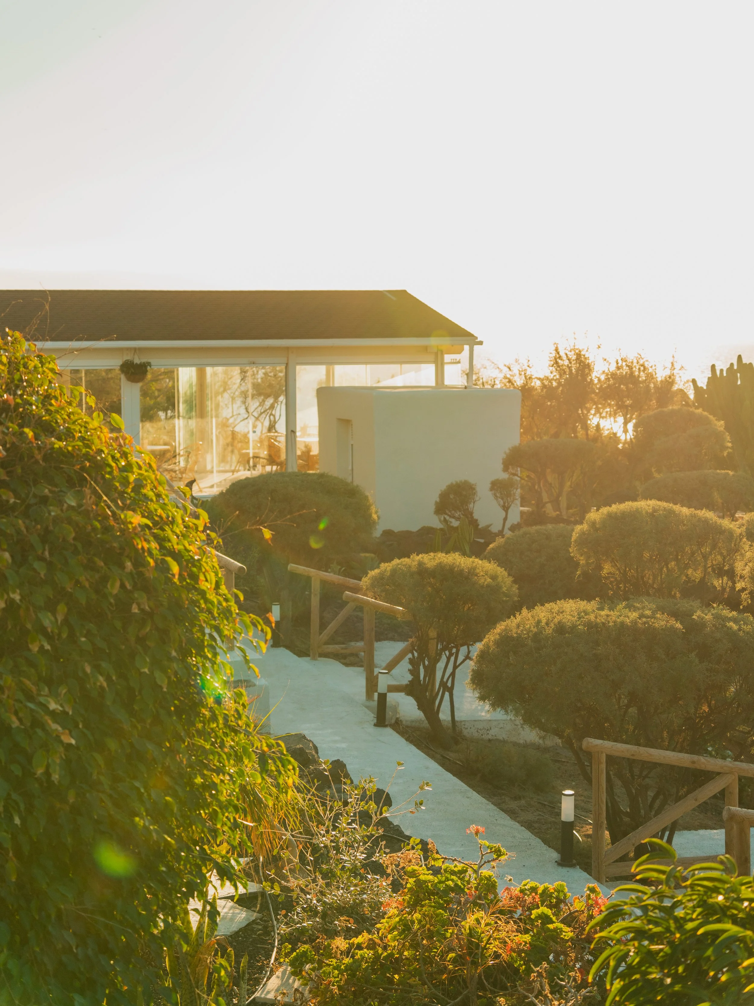 Jardín con árboles y arbustos en la tarde, vista de una estructura de vidrio y madera con luz solar brillante.