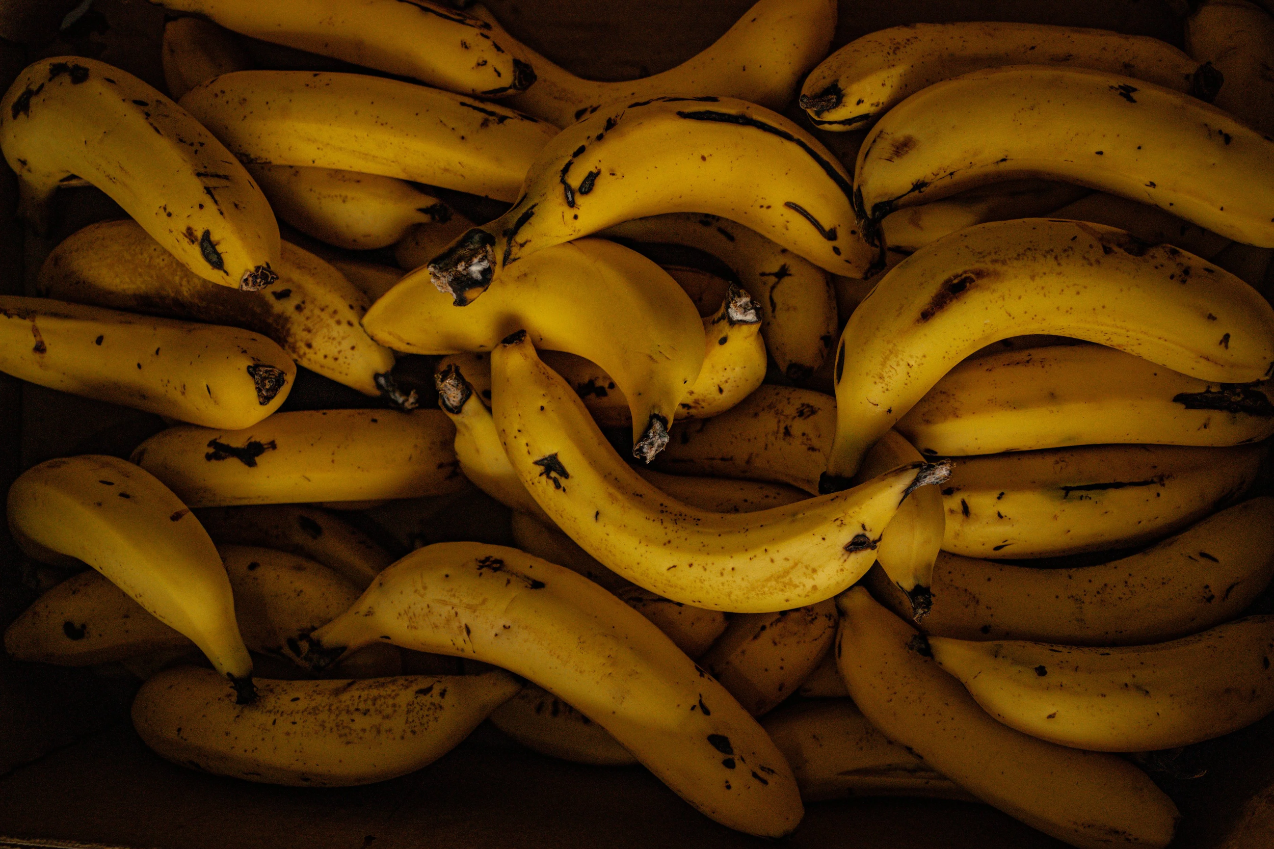 Plátanos en el museo del plátano en Tenerife