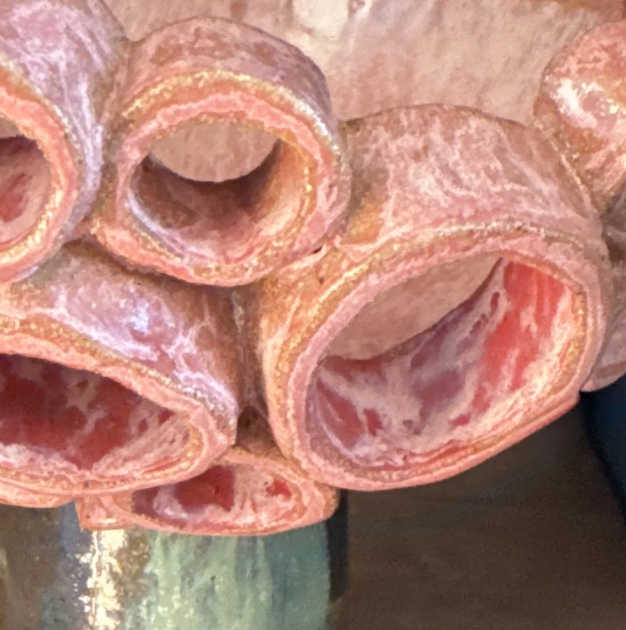close up of glazed pink pottery