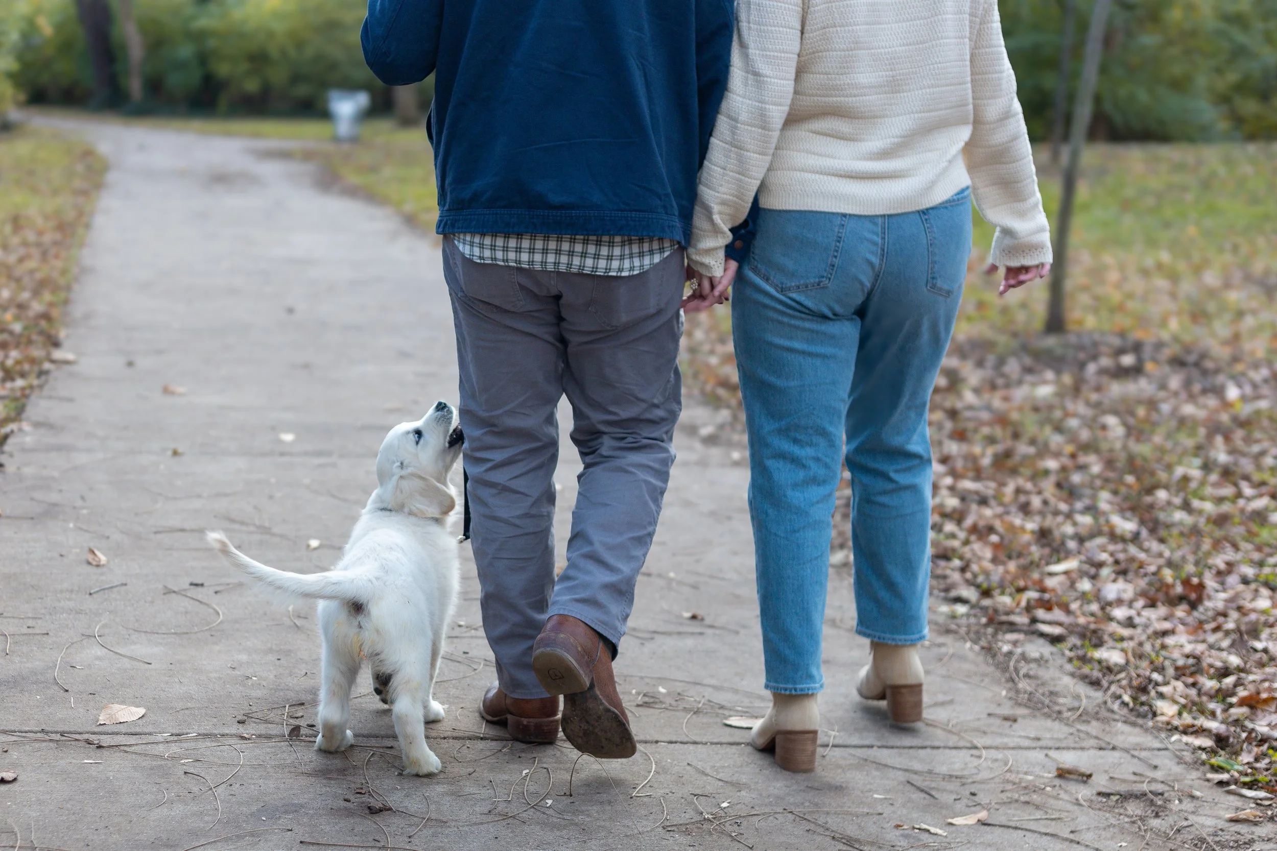 Couple walking hand in hand on a park trail with a small puppy beside them.