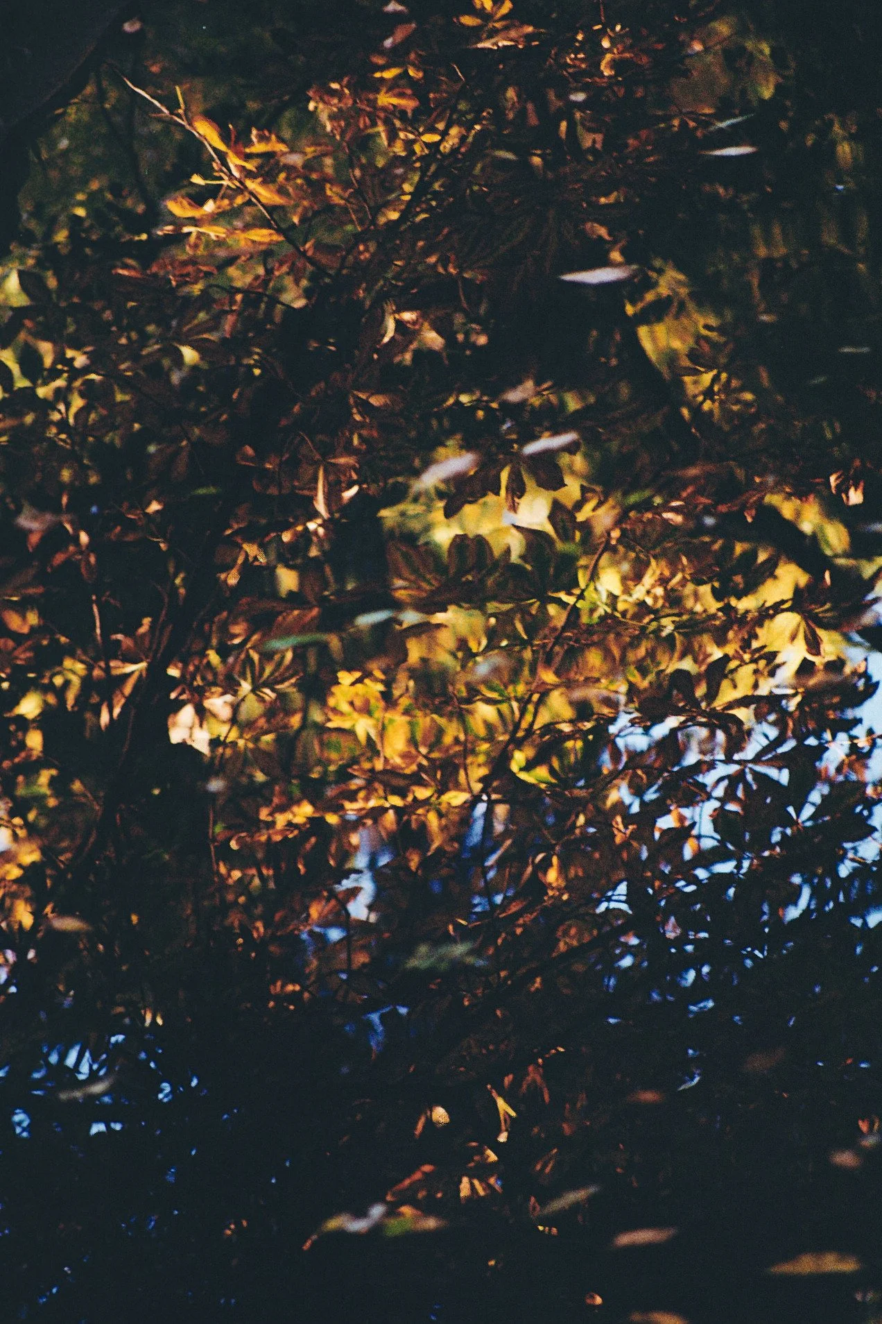 Mystère