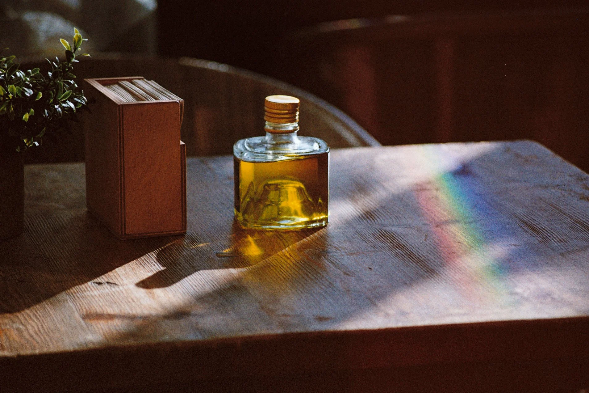 Une petite plante en pot, une boîte de cigarettes et une bouteille d'huile sur une table en bois. La lumière du soleil crée un reflet arc-en-ciel sur la surface de la table.