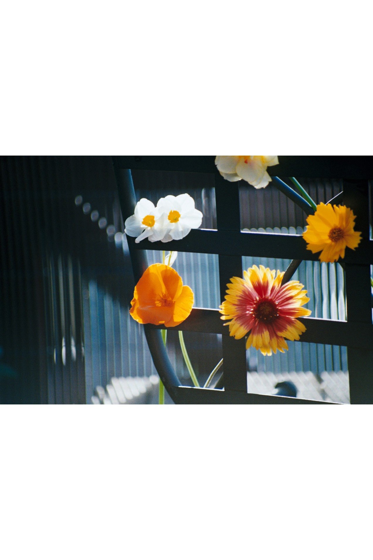 Palette
