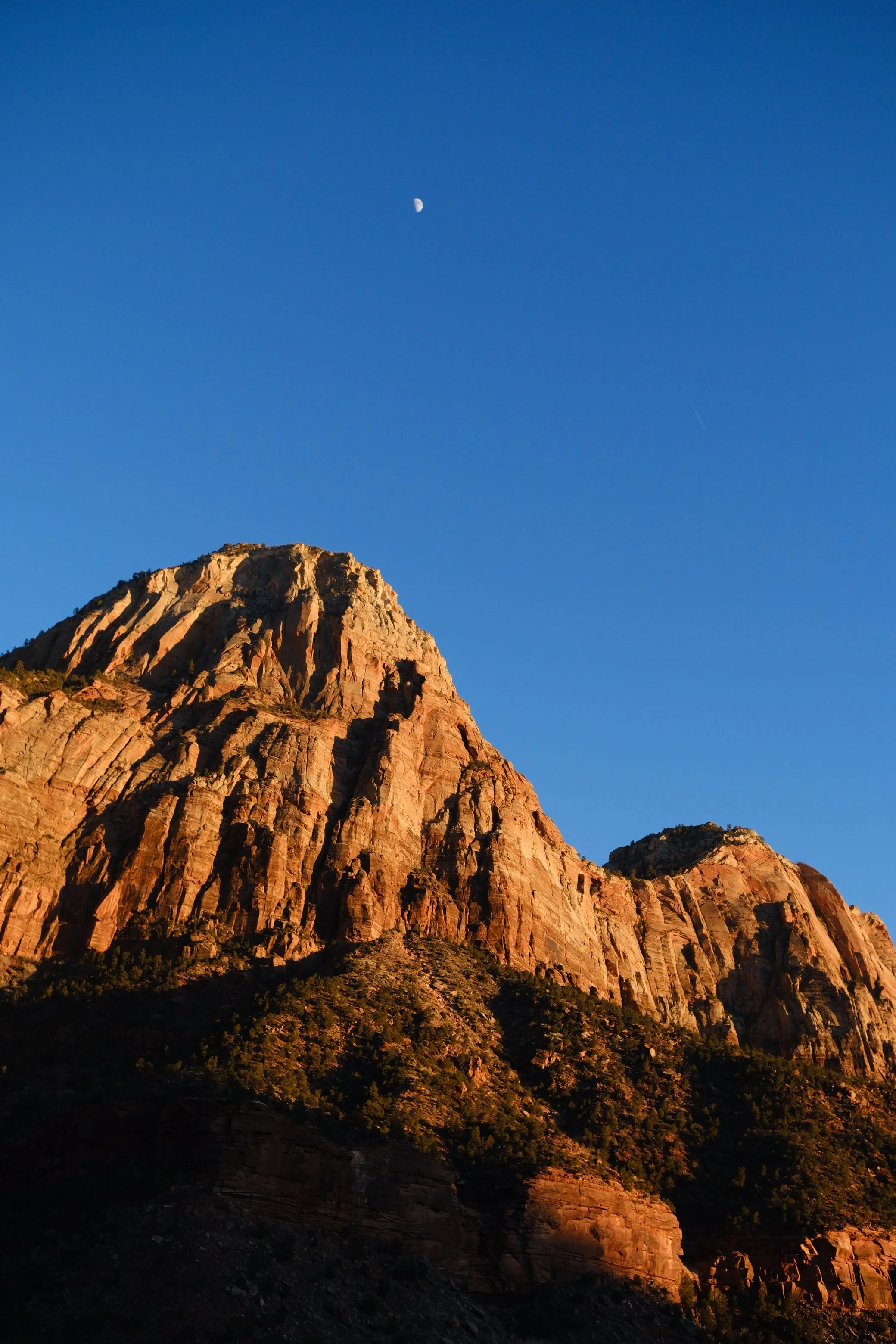 DSCF4071.jpg