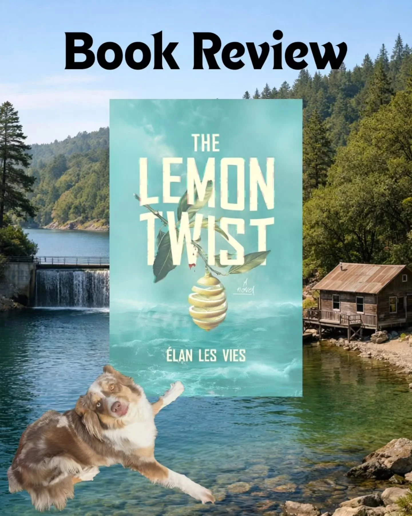 ✨📚 Book Review: The Lemon Twist 
Published: May 26th 🌀
Genre: Mystery / Psychological Drama
Rating: ⭐️⭐️⭐️⭐️ (4/5)

This debut novel follows Iris Sailor, a pro figure skater whose fall on the ice shatters her memory and career. When she receives a 
