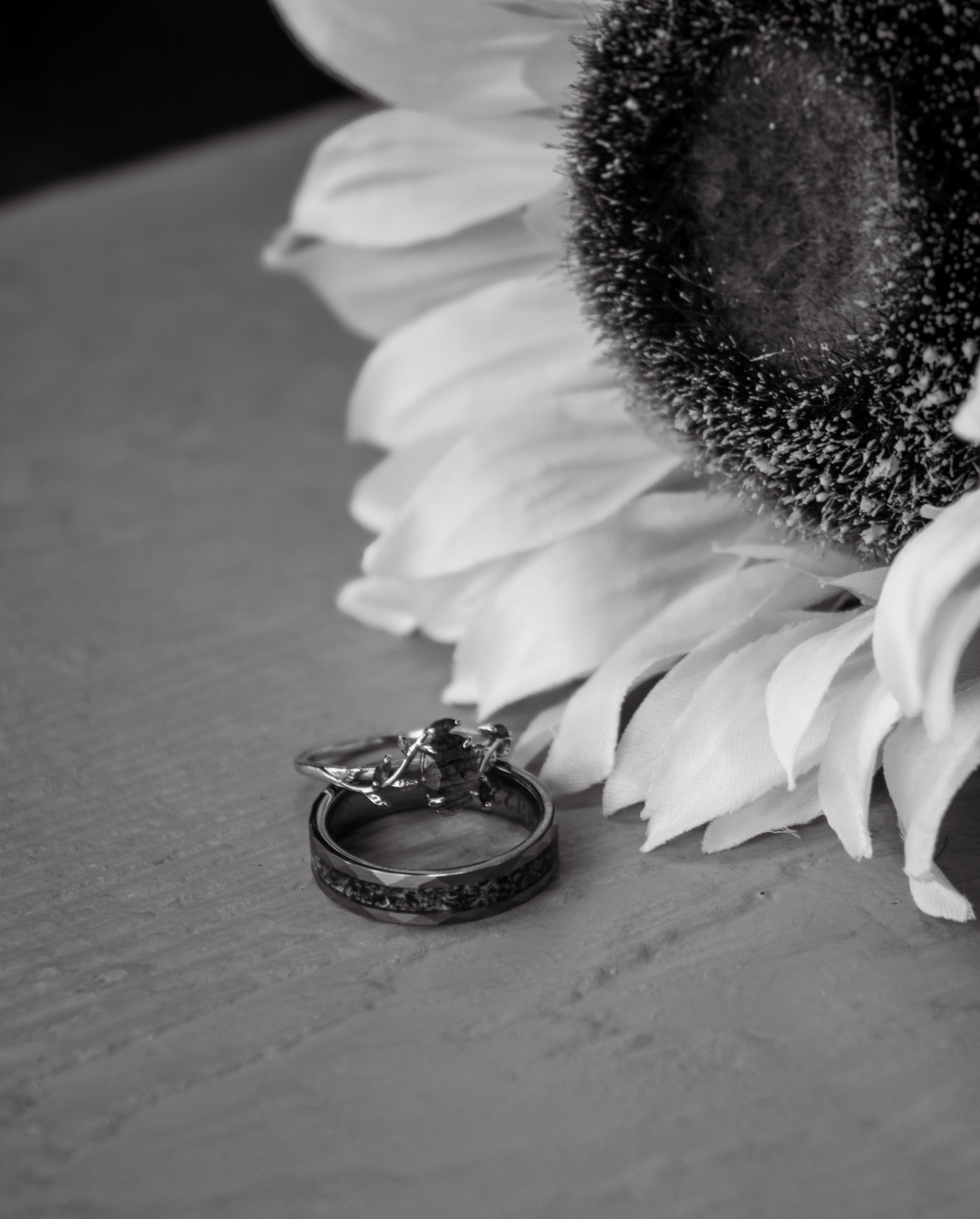 A sunflower with white petals and a dark center placed on a wooden surface, with a wedding ring and a small insect also on the surface. The image is in black and white.