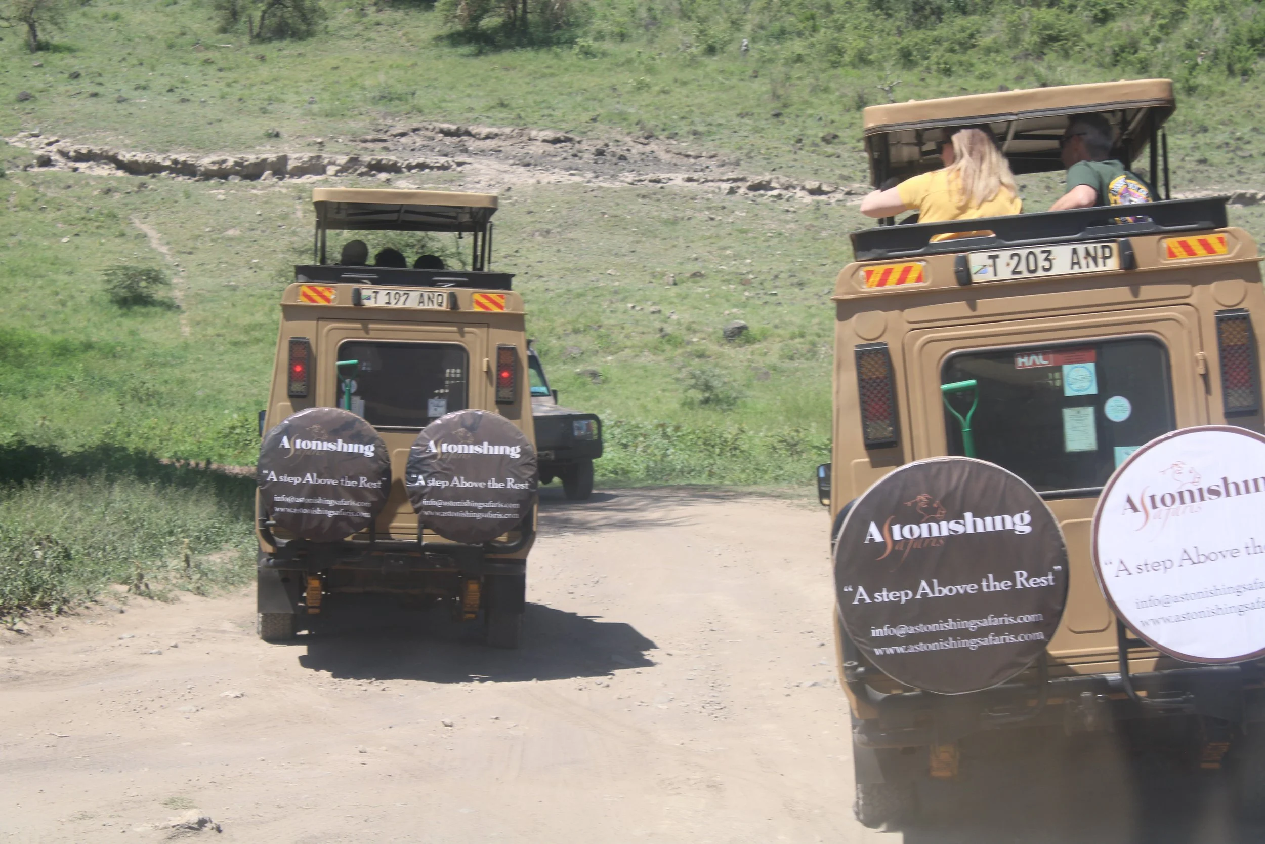 What to Expect on Your First Safari in Tanzania