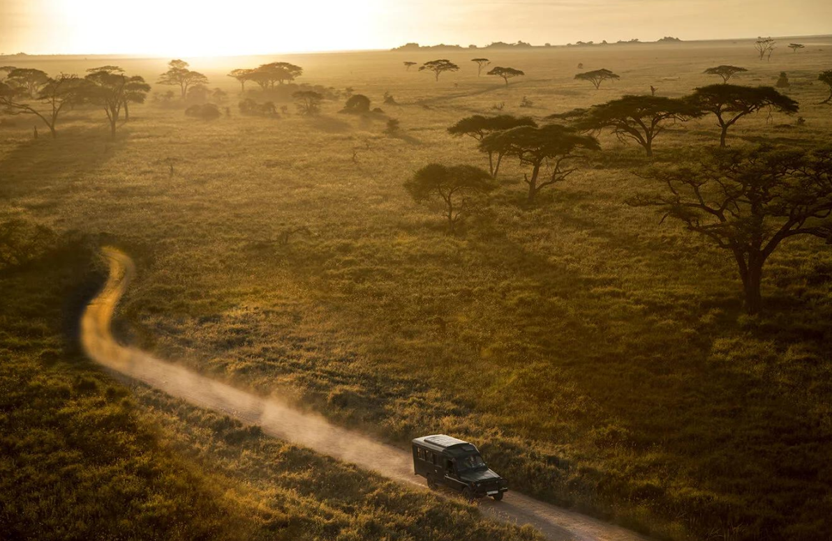 7 Mistakes to Avoid on Your First Tanzania Safari