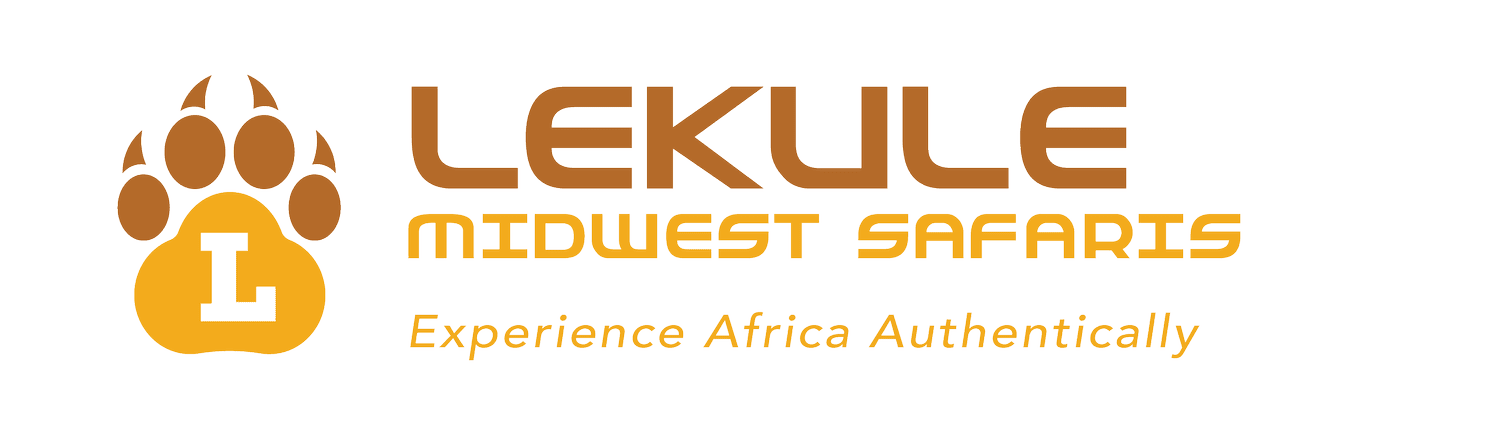 Lekule Midwest Safari