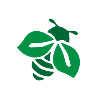 A stylized drawing of a bee with green wings, a green body, and white accents on the wings.