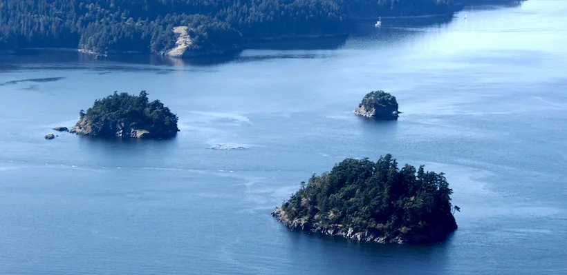 Three small forested islands in a body of water with a forested shoreline in the background.