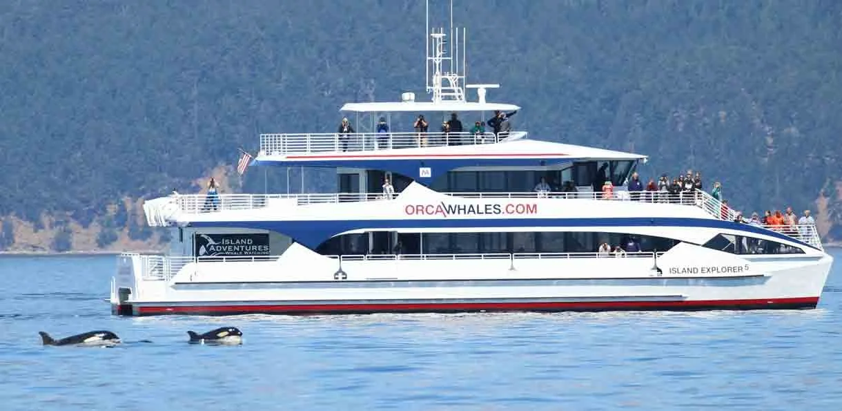 Large white boat with multiple decks and people onboard, marked with the website ORCAWHALES.COM, floating on a body of water with mountainous terrain in the background, and two orcas swimming nearby.