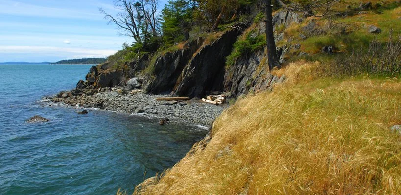 View of a rocky coastline with tall grass and trees, overlooking a calm body of water under a partly cloudy sky.