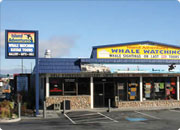 A storefront with a yellow sign advertising whale watching tours, located on a busy street with other businesses nearby.