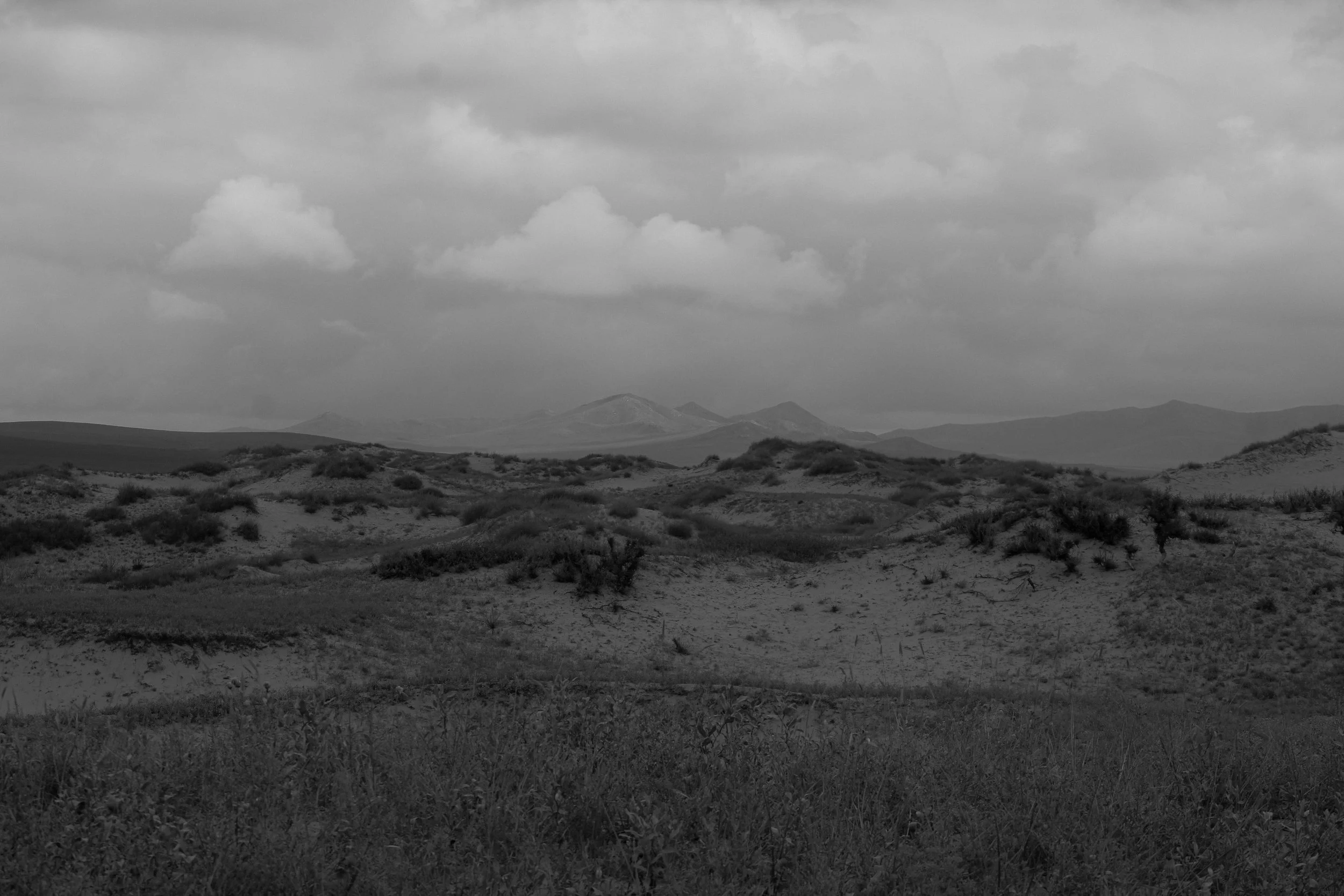 mongolia - so free, and free.