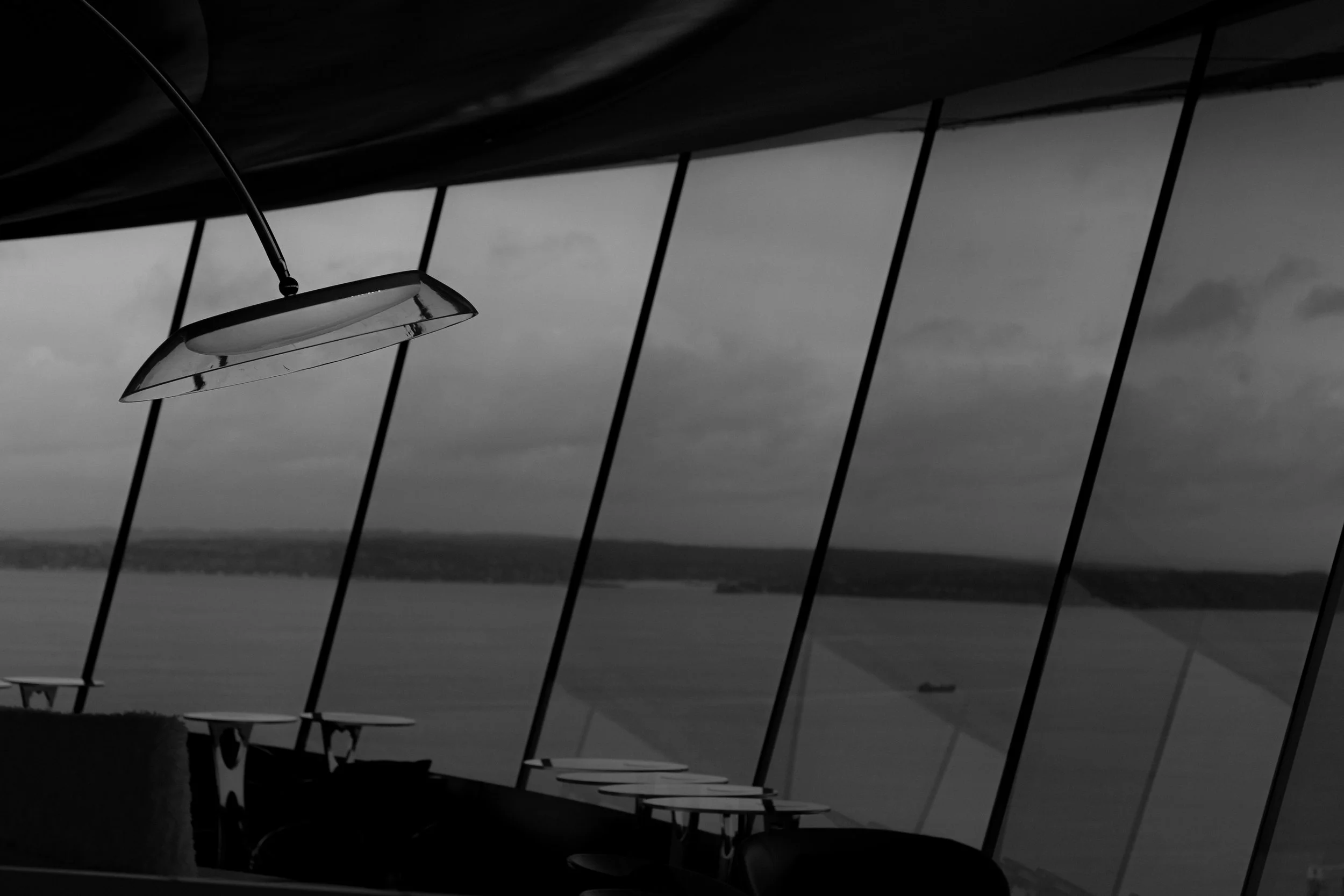 black and white version of the view from the seattle space needle...